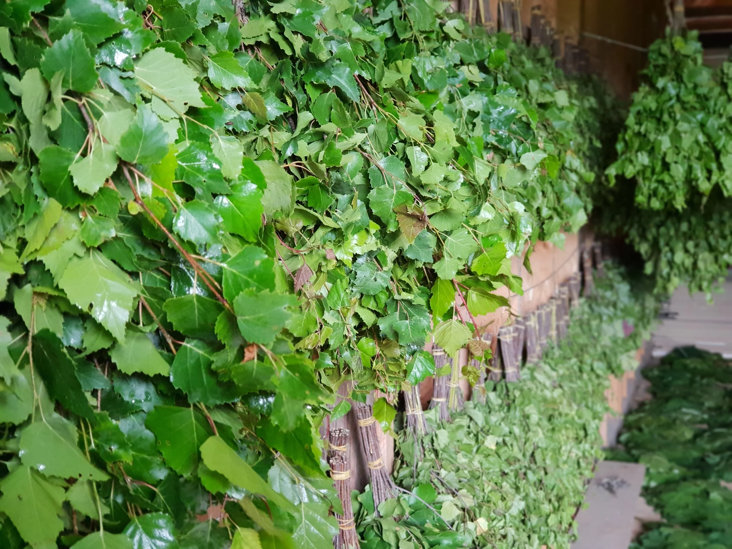 EUCALYPTUS WHISK - LARGE