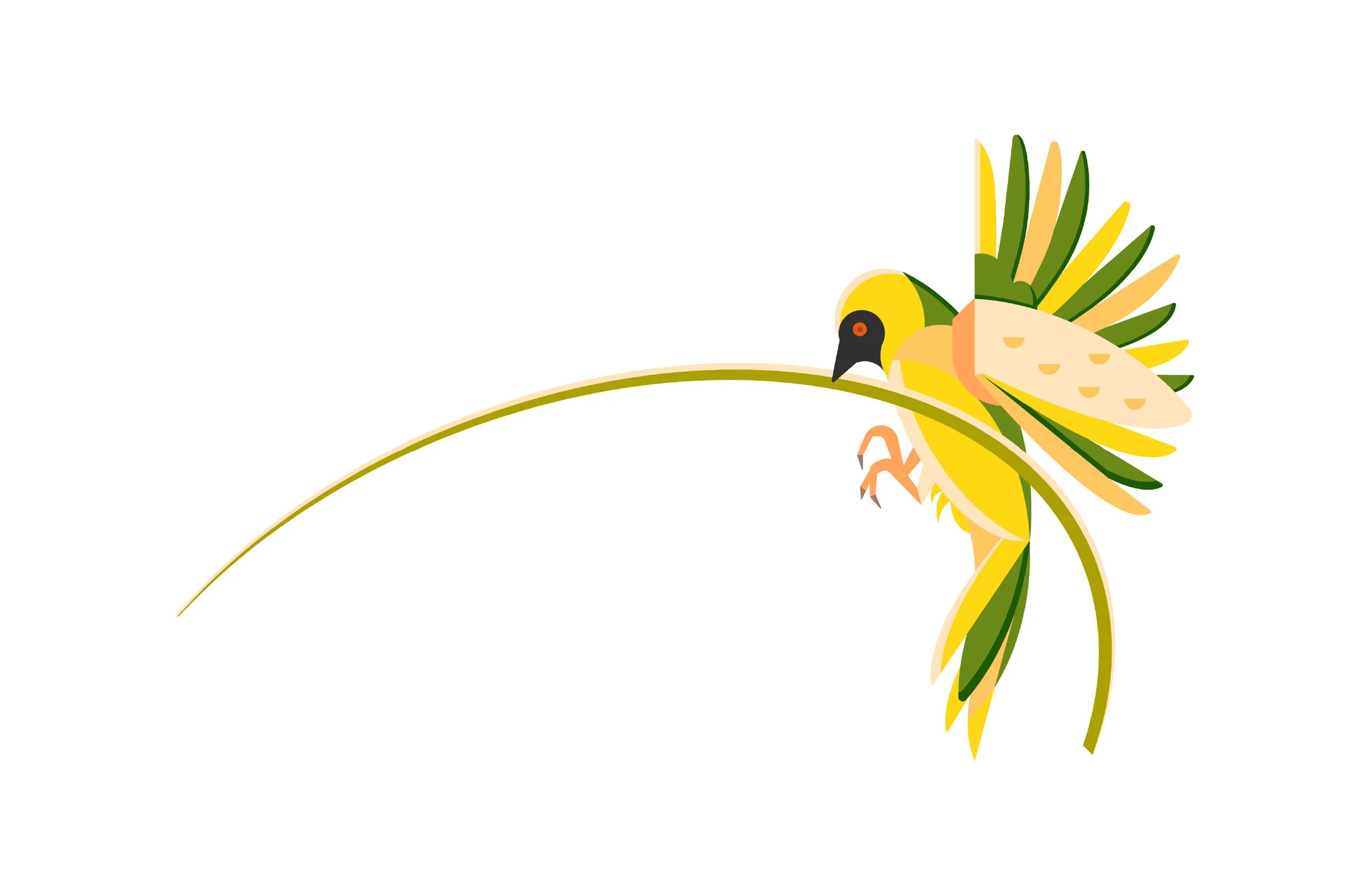 A stylized illustration of a colorful bird perched on a curved branch.