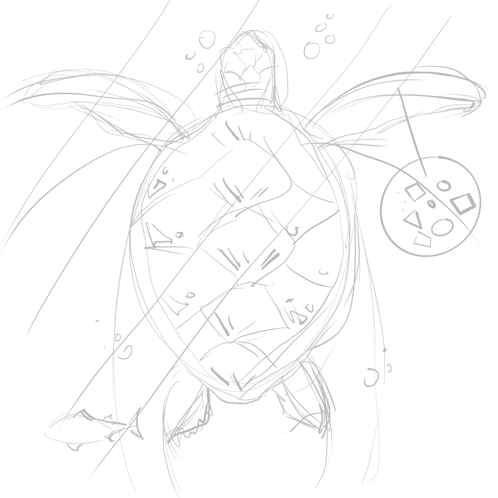 A close-up sketch of a fish with a circular object and geometric shapes on the right side, and measurement lines across the fish.