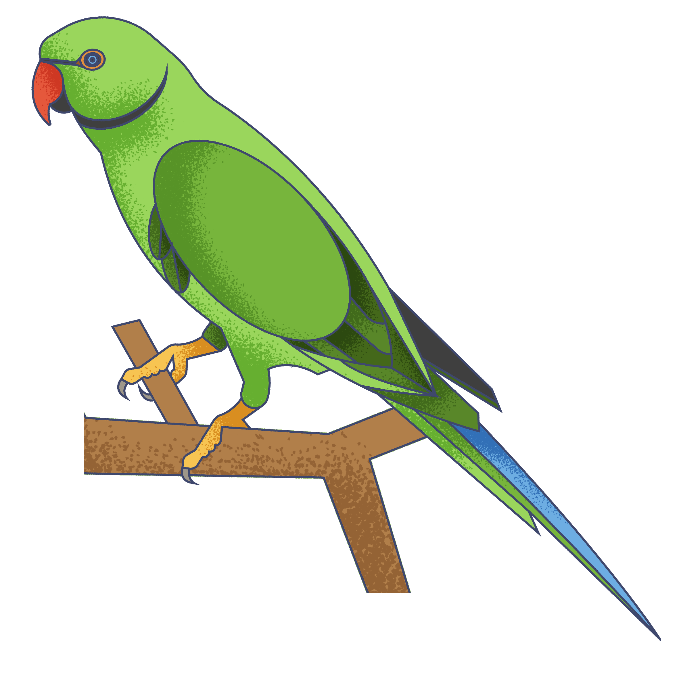 Illustration of a green parrot with a red beak, perched on a brown branch against a dark blue background.
