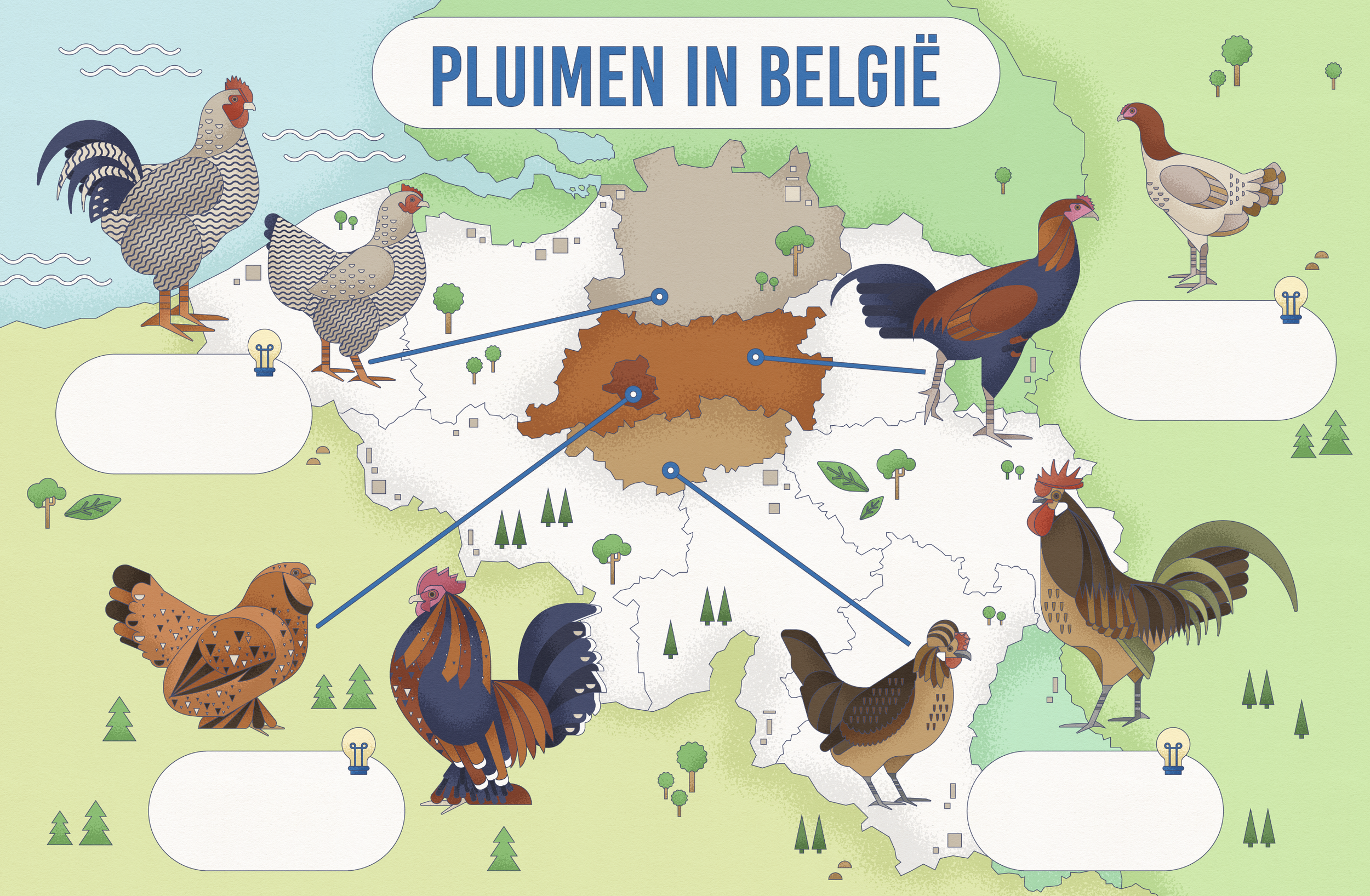 A colorful illustrated map of Belgium featuring various chicken breeds typical for different regions, with dotted lines connecting each breed to its corresponding region on the map and empty speech bubbles for labels or descriptions.