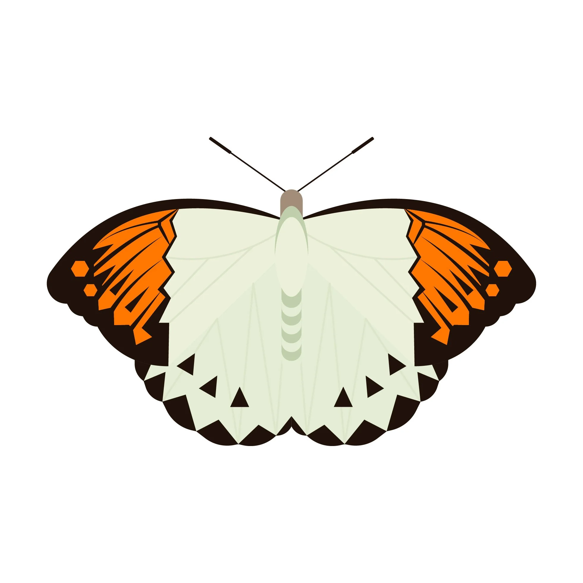 A digital illustration of a butterfly with white and orange patterned wings and black edges, depicted against a white background.