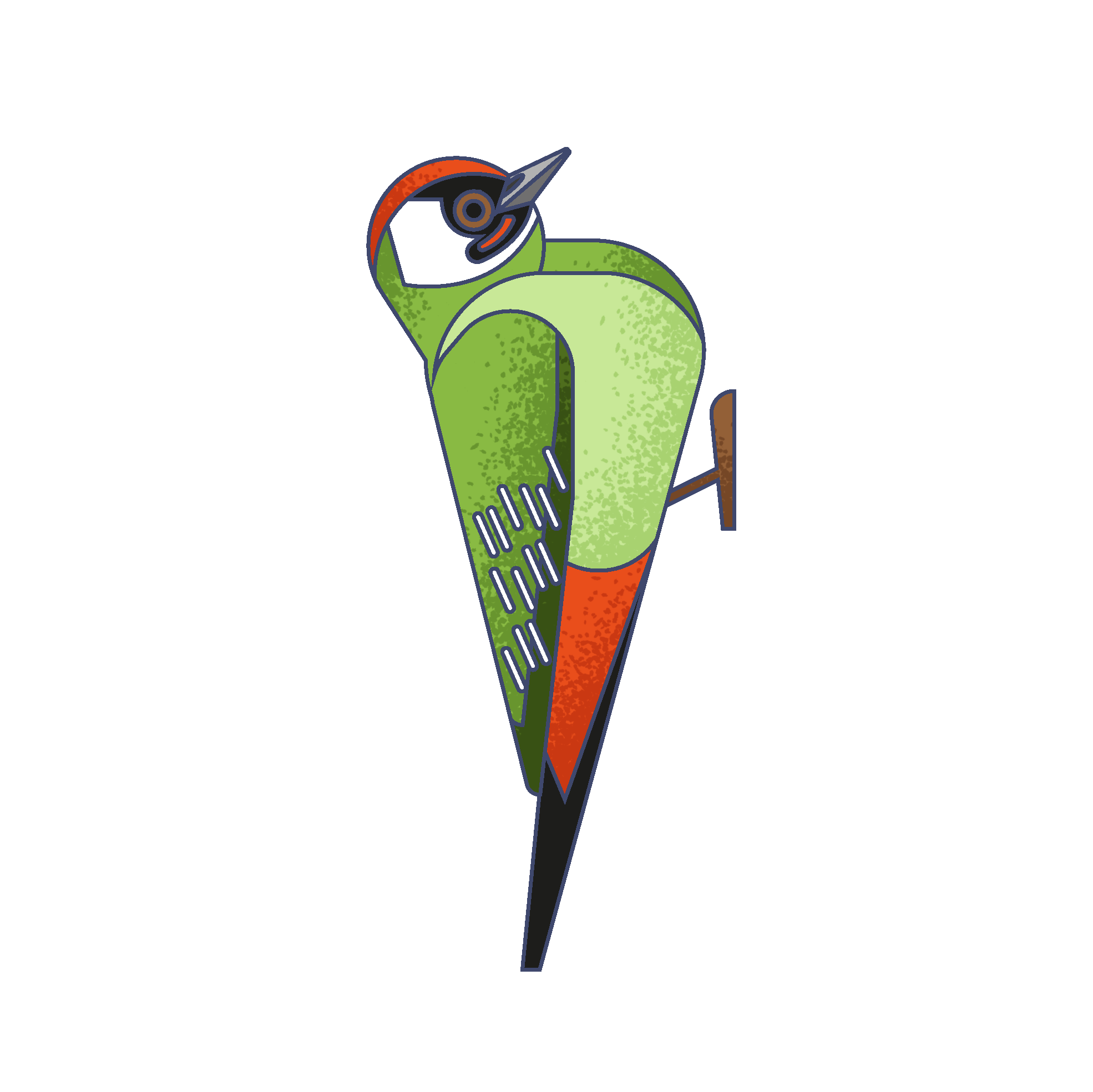 Stylized illustration of a woodpecker peeking from behind a dark blue vertical surface.