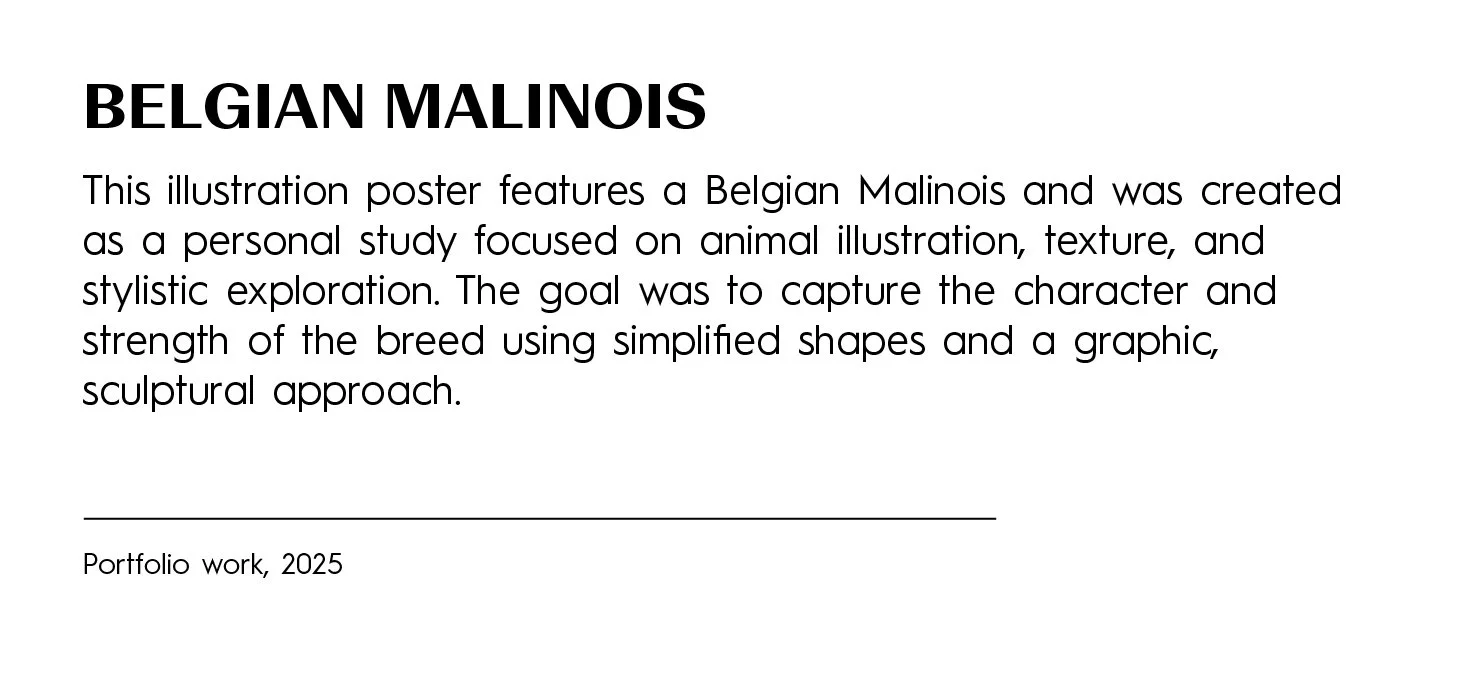 Text on a poster titled 'Belgian Malinois' describing a personal study on the breed, focusing on animal illustration, texture, and stylistic exploration, emphasizing character and strength with simplified shapes and graphic approach, dated 2025.