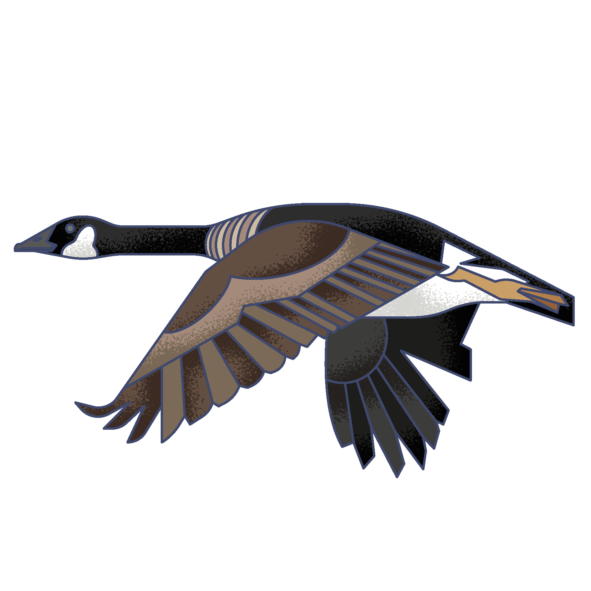 Illustration of a duck in flight with a dark head, brown body, and wings spread wide, showing detailed feather patterns against a blue background.