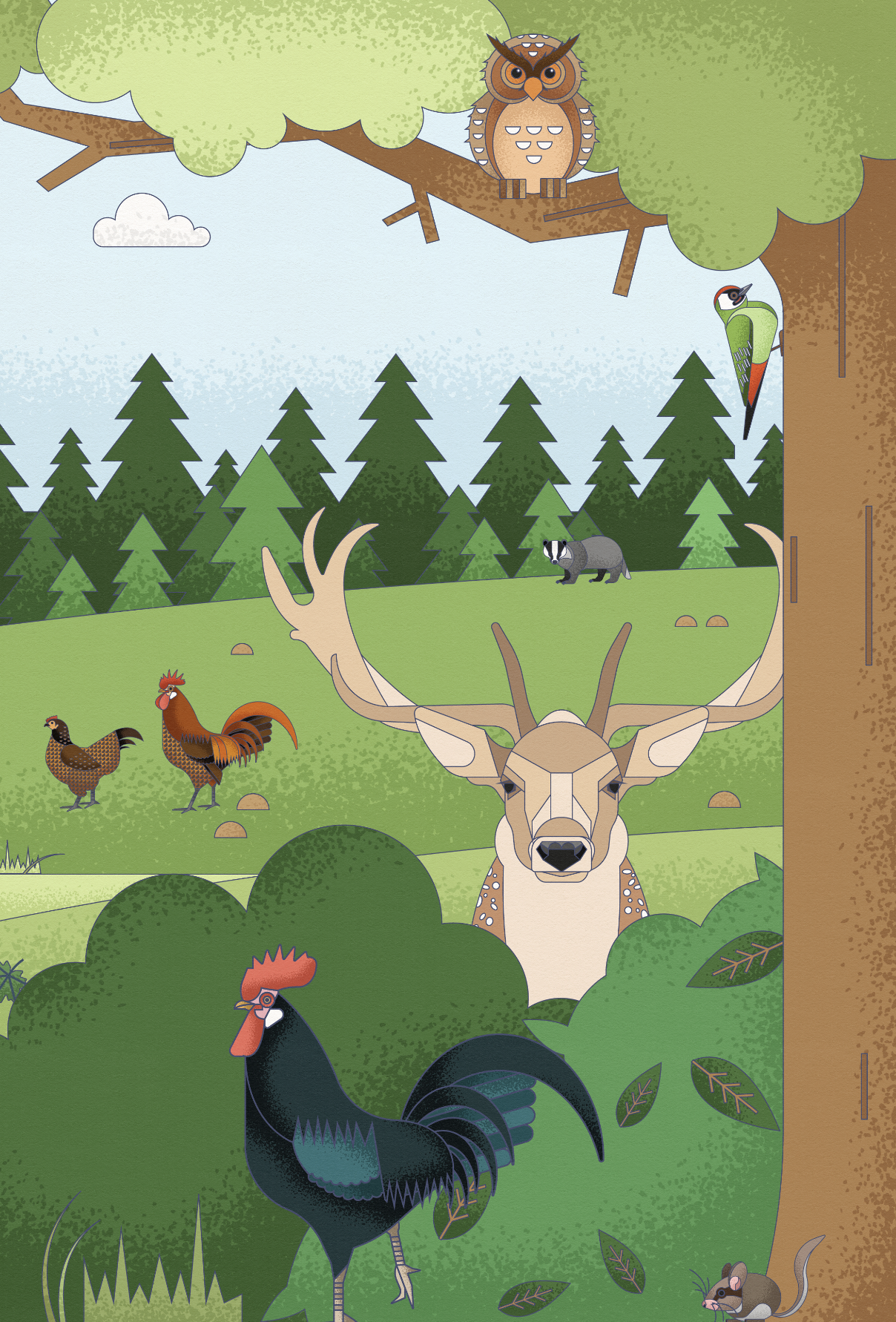 Illustration of a forest scene with various animals, including an owl on a tree branch, a woodpecker on the tree trunk, a deer with large antlers in the center, a rooster in the bushes, a rat near the bottom right, a raccoon in the background, a hen,