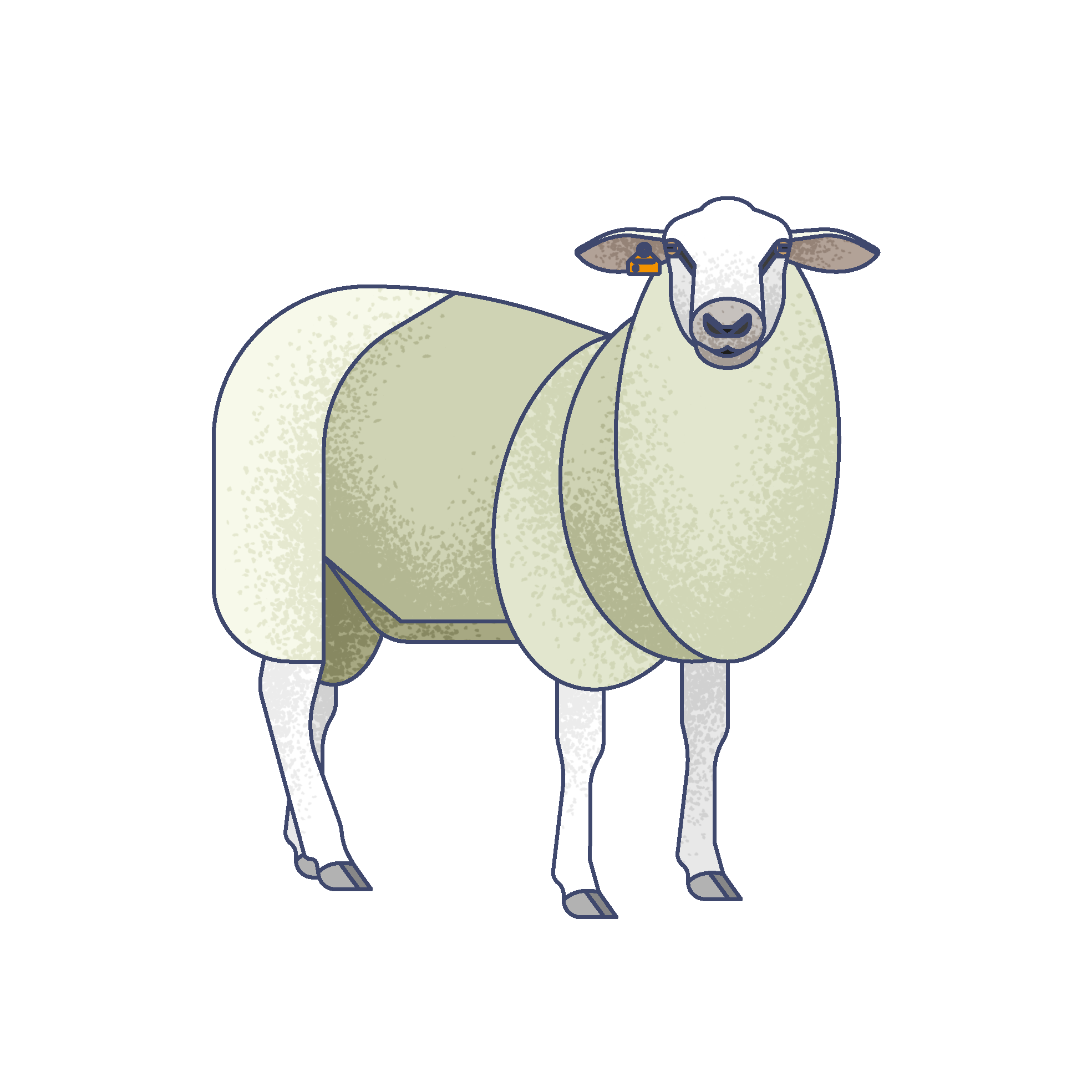 Illustration of a sheep with a sheepdog's face, wearing a green coat.