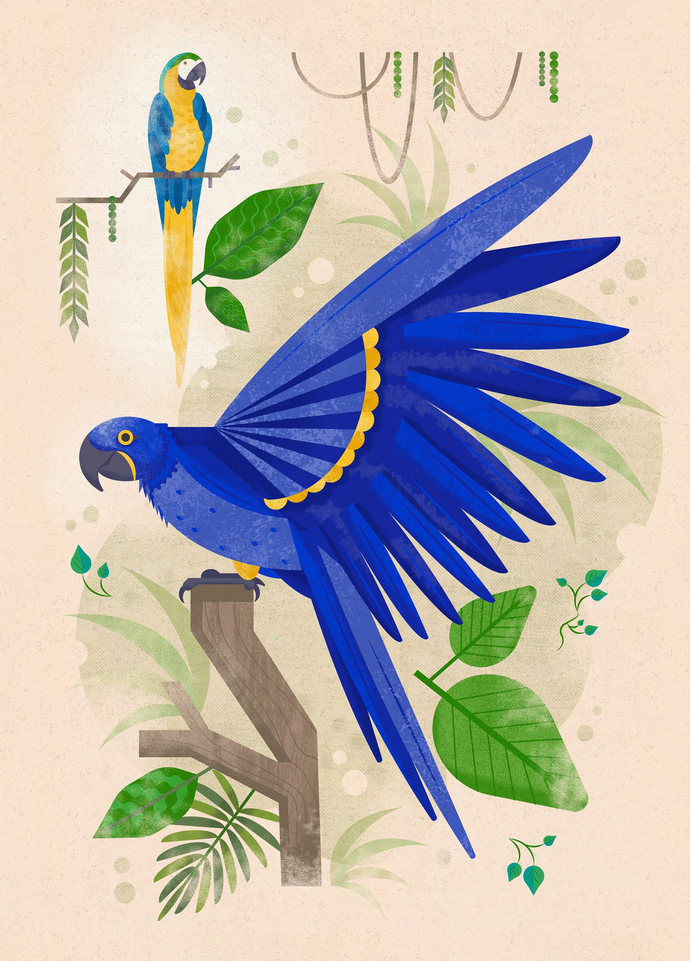 Illustration of a blue parrot with yellow accents perched on a branch with green leaves, and a smaller yellow and blue parrot in the background among foliage.