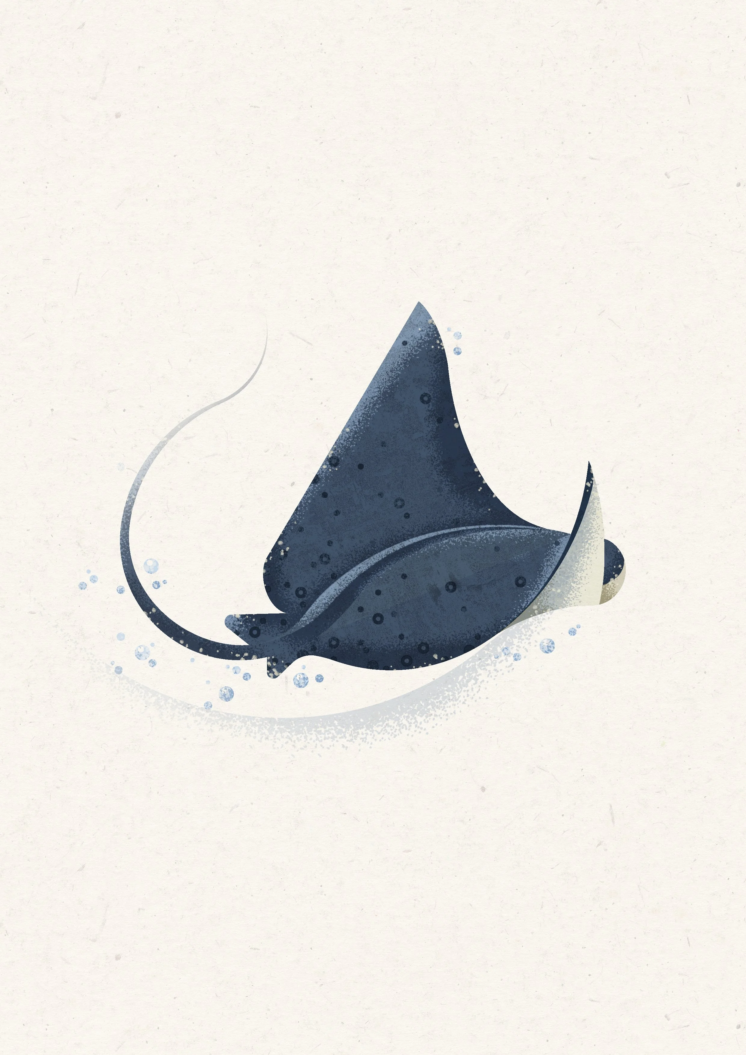 Stylized illustration of a stingray swimming in the water with light bubbles around it.