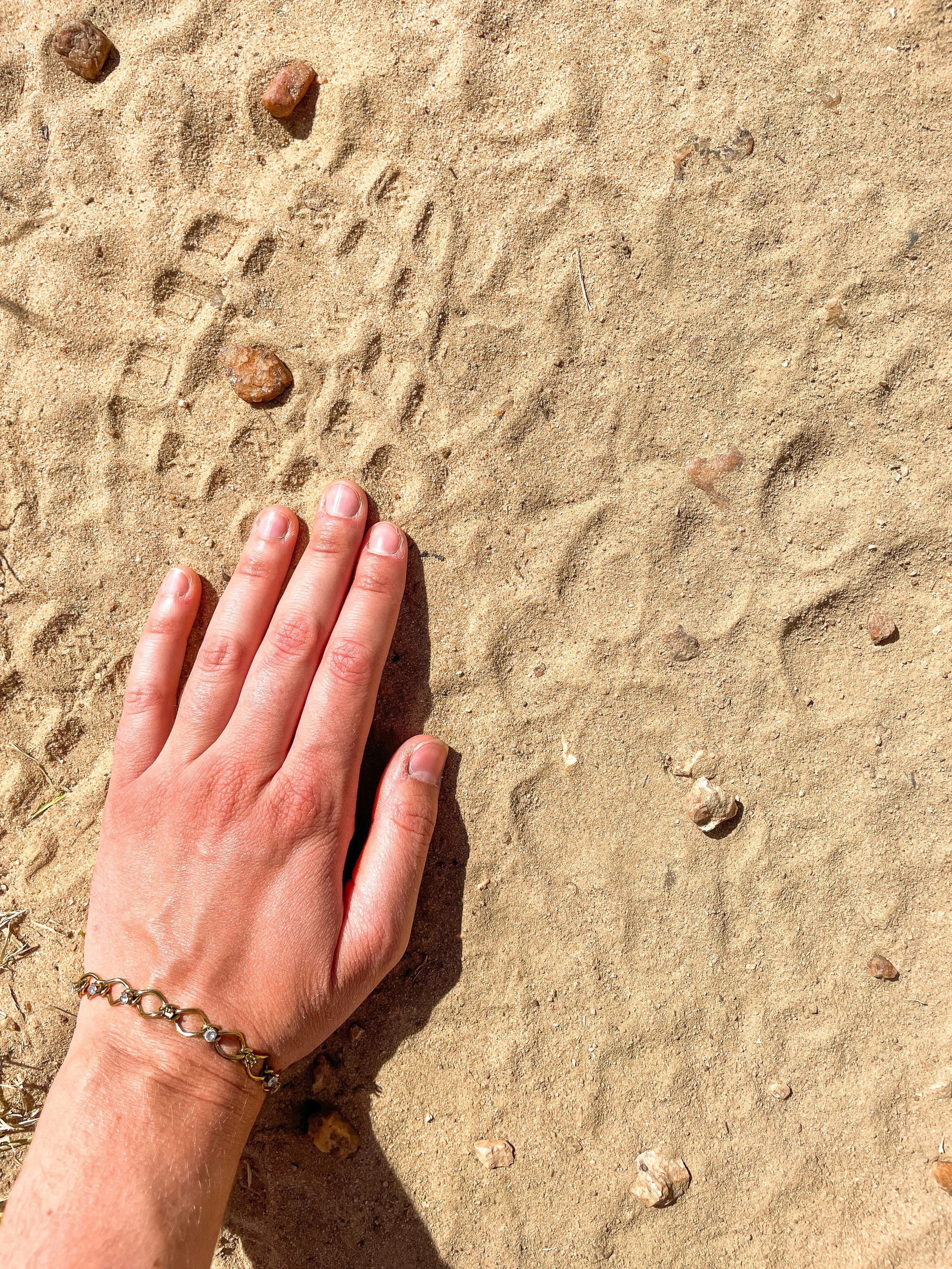 A person's hand with a bracelet rests on sandy ground with visible footprints and small rocks.