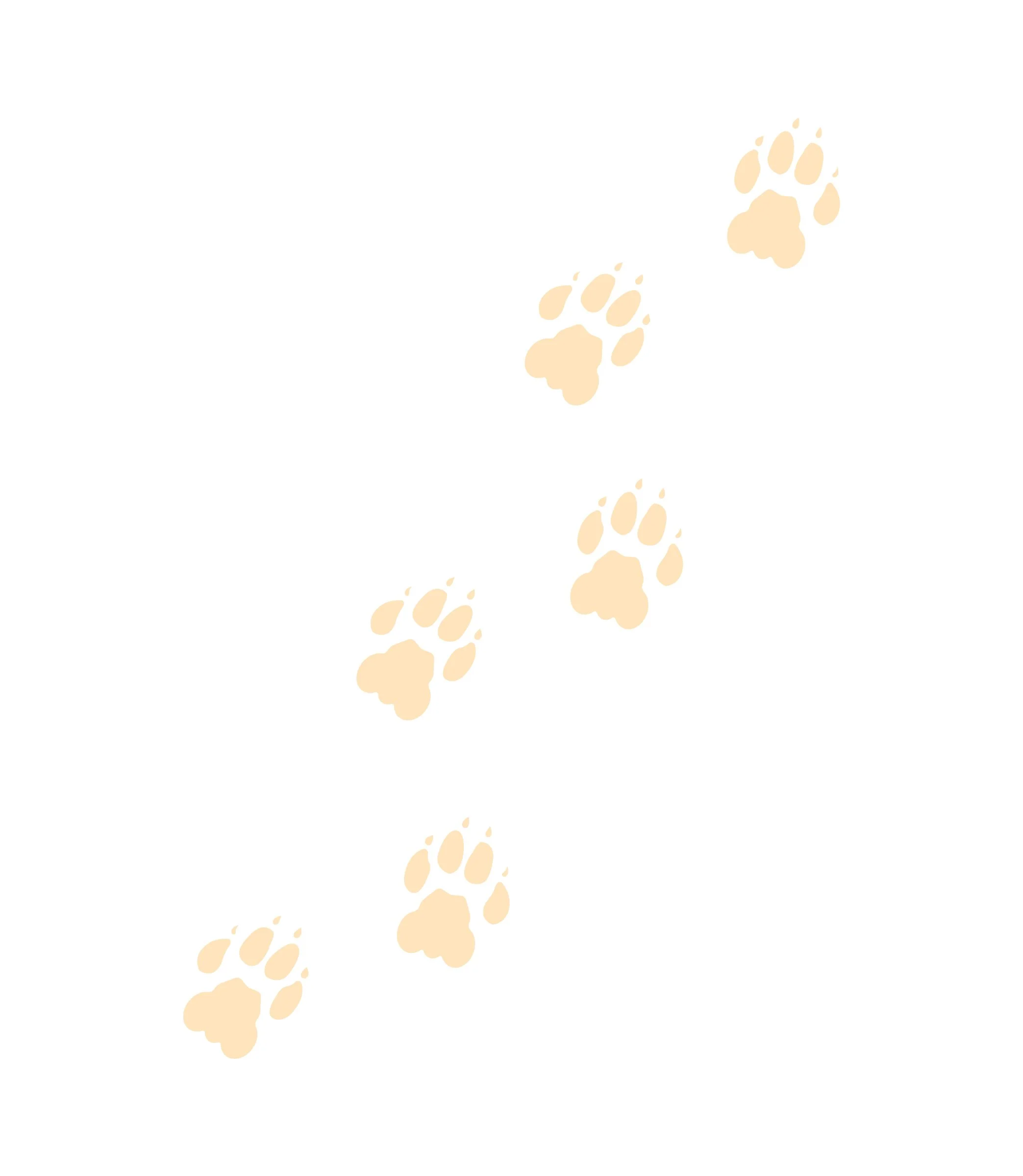 Five beige paw prints arranged diagonally on a white background.