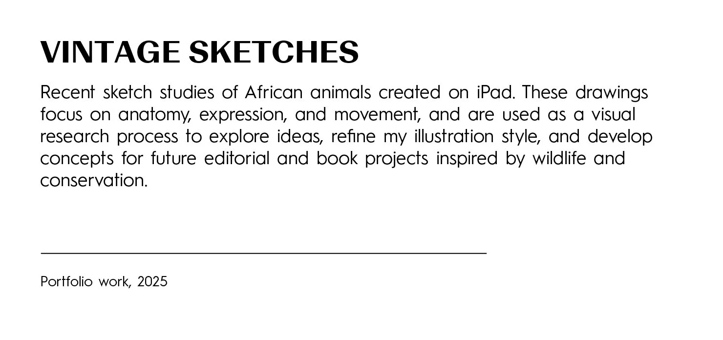 Title 'VINTAGE SKETCHES' with black bold font, descriptive paragraph about African animal sketches on iPad for research and illustration, and a footer note 'Portfolio work, 2025'.