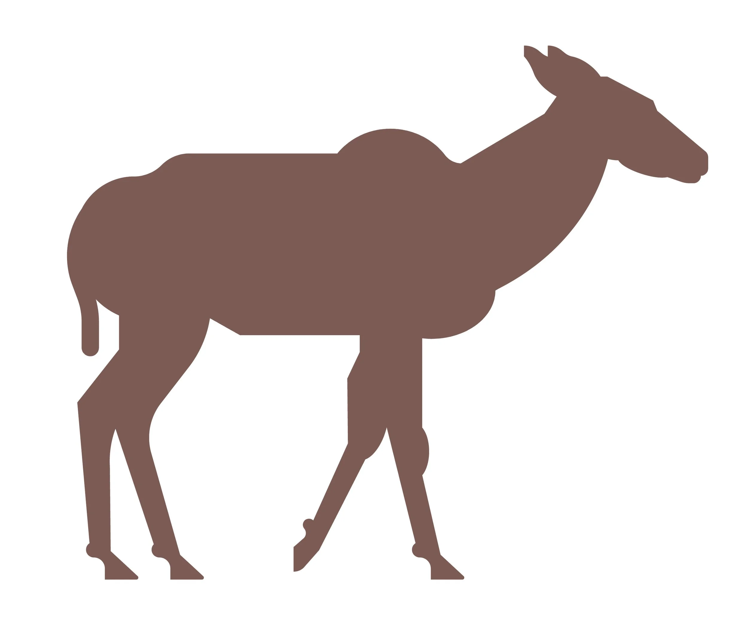 Silhouette of a brown horse facing right on a white background.