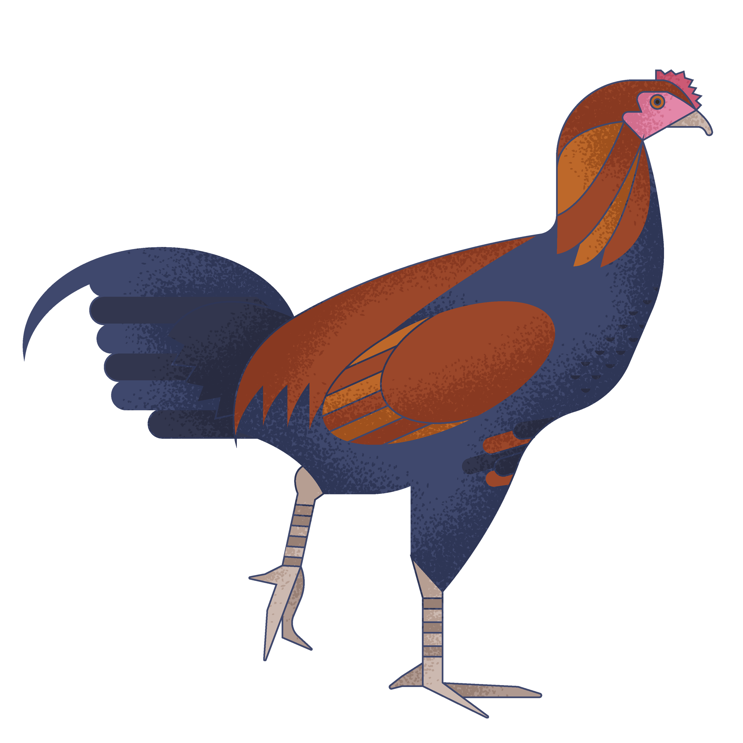 Stylized illustration of a bird resembling a bird of prey, with brown and navy blue feathers, standing on the ground.