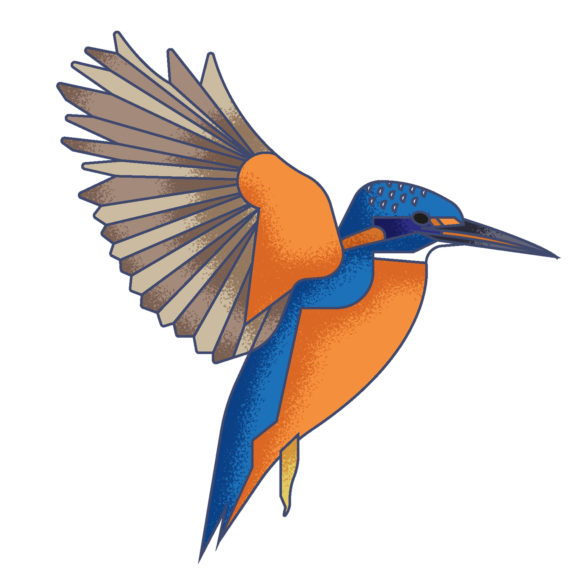 Illustration of a colorful kingfisher bird with orange and blue feathers, perched on a branch against a dark background.