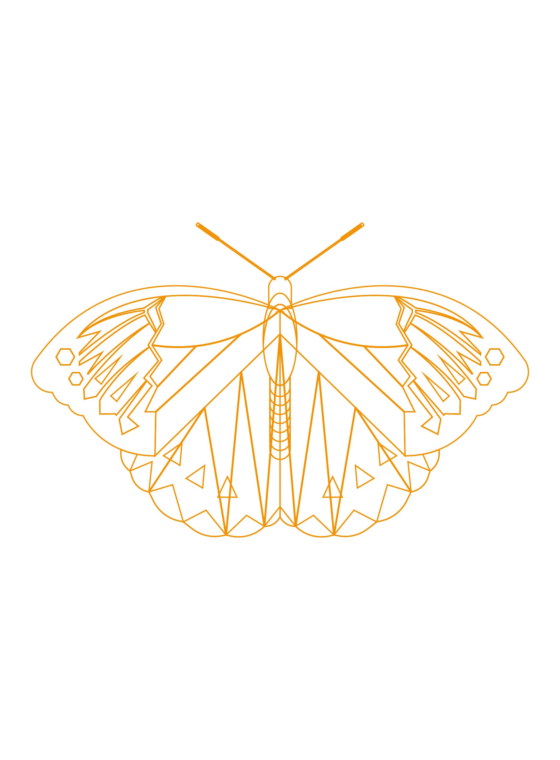  outlined illustration of a butterfly in orange with symmetrical geometric patterns on its wings.