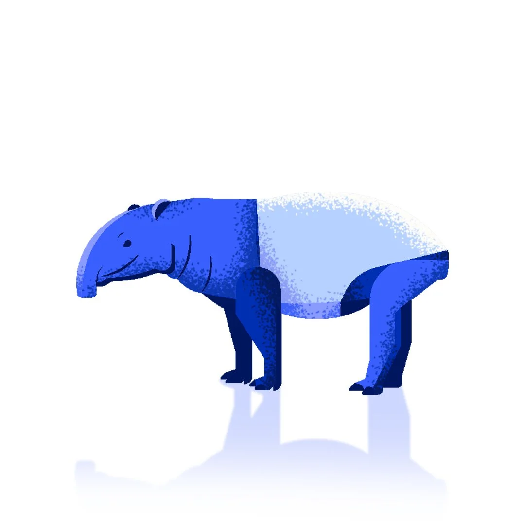 Illustration of a hybrid animal with the body of a hippopotamus and the head of an anteater, both in shades of blue.