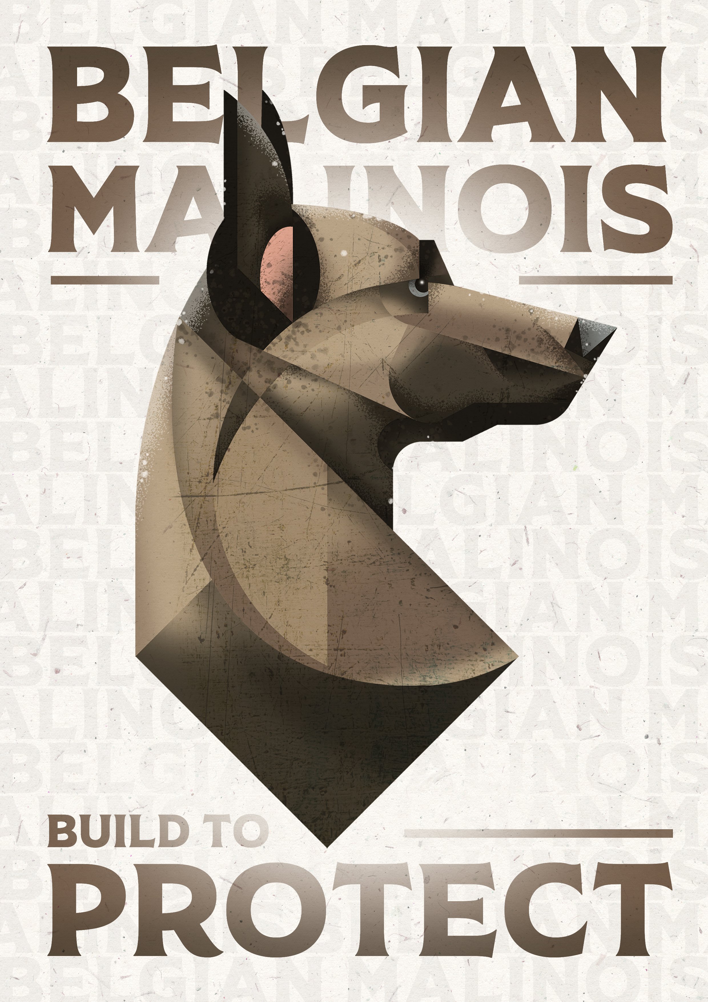 Illustration of a Belgian Malinois dog in a geometric, digital art style with text that reads "Belgian Malinois" and "Build to Protect" in the background.