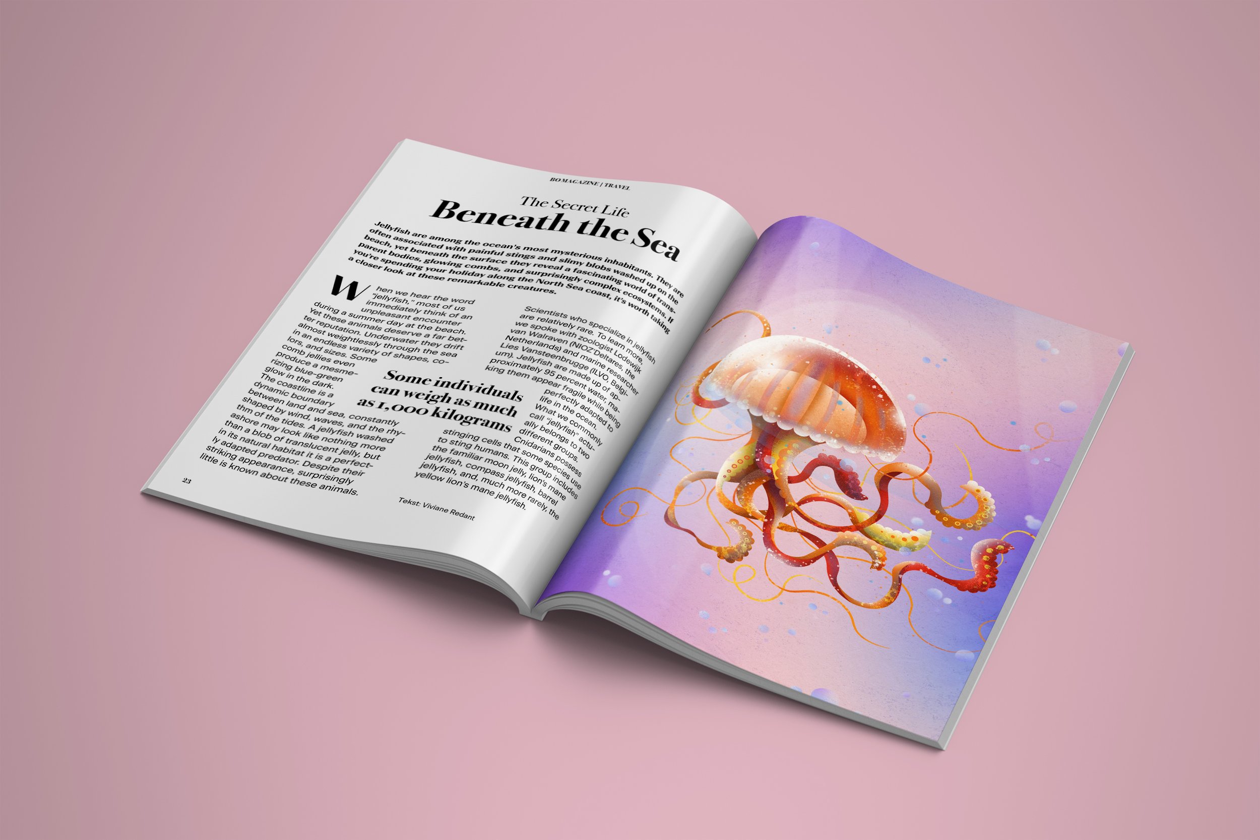 Kwal_artikel_Mockup2.jpg
