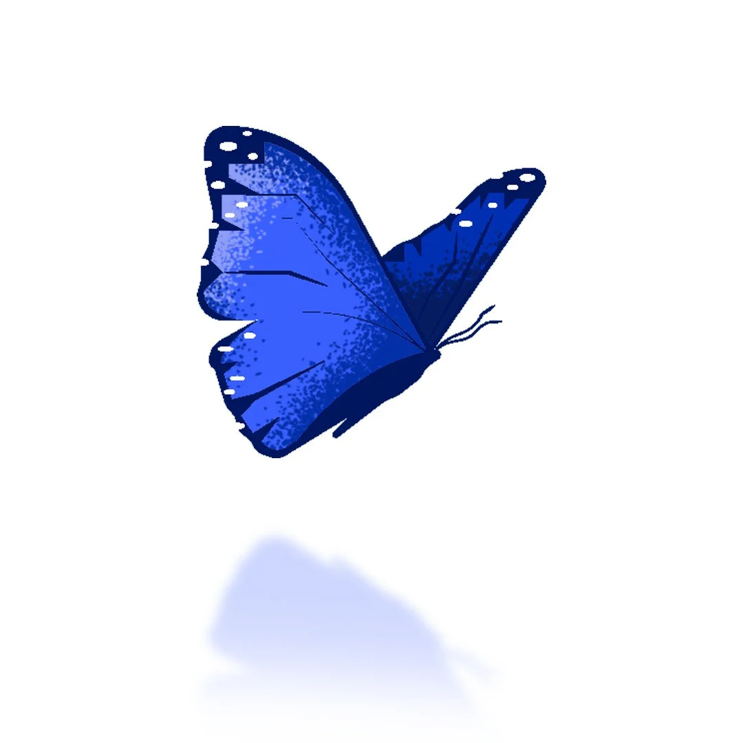 A blue butterfly with detailed wings, casting a reflection on a white surface.