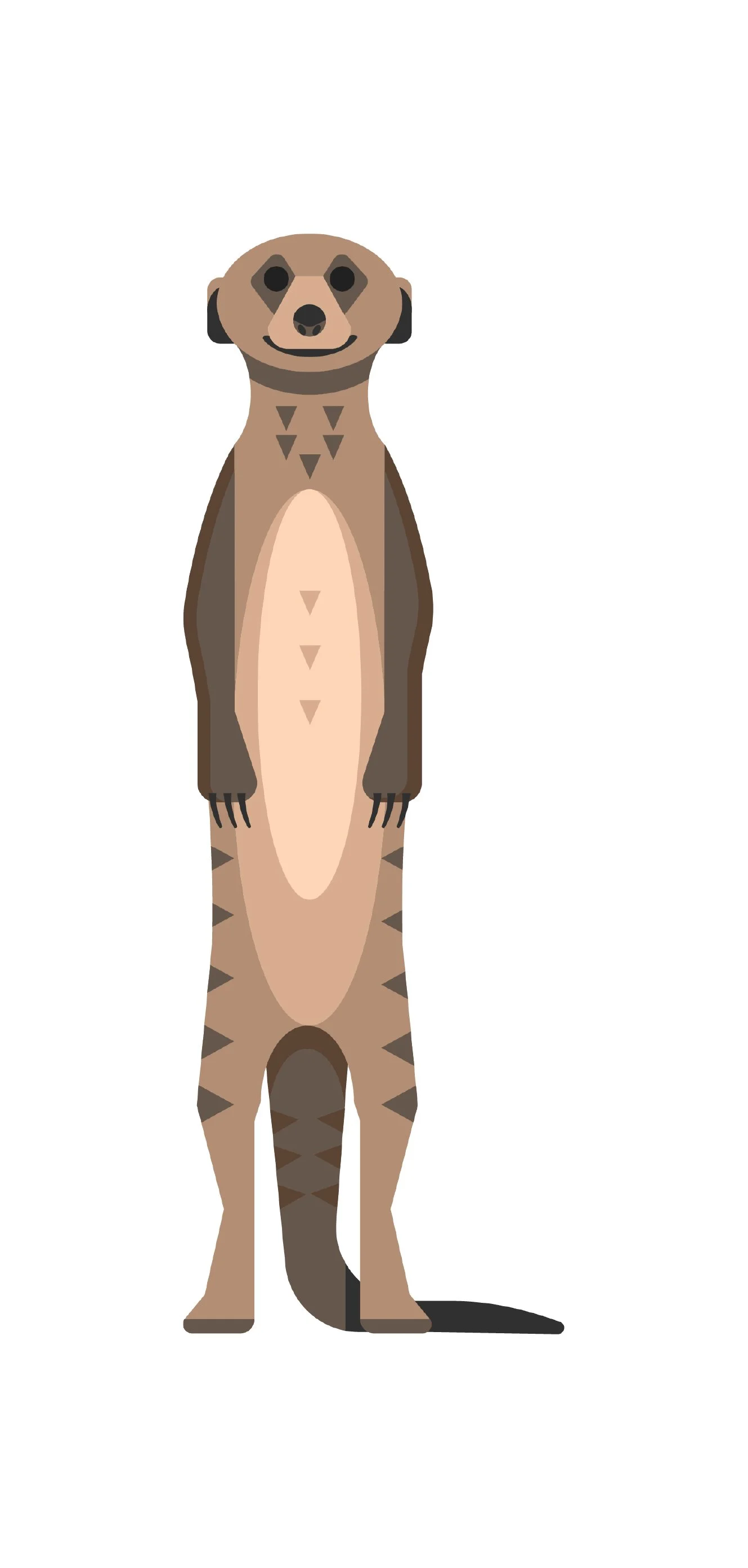 A cartoon illustration of a standing meerkat with its hands at its sides, facing forward, with a white background.