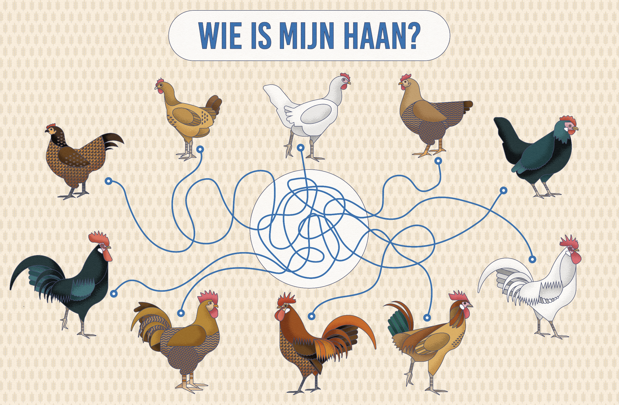 A puzzle image featuring various chicken illustrations arranged in a circle with blue lines connecting each chicken to the center, and the question 'Wie is mijn haan?' written at the top in Dutch, meaning 'Who is my rooster?'.