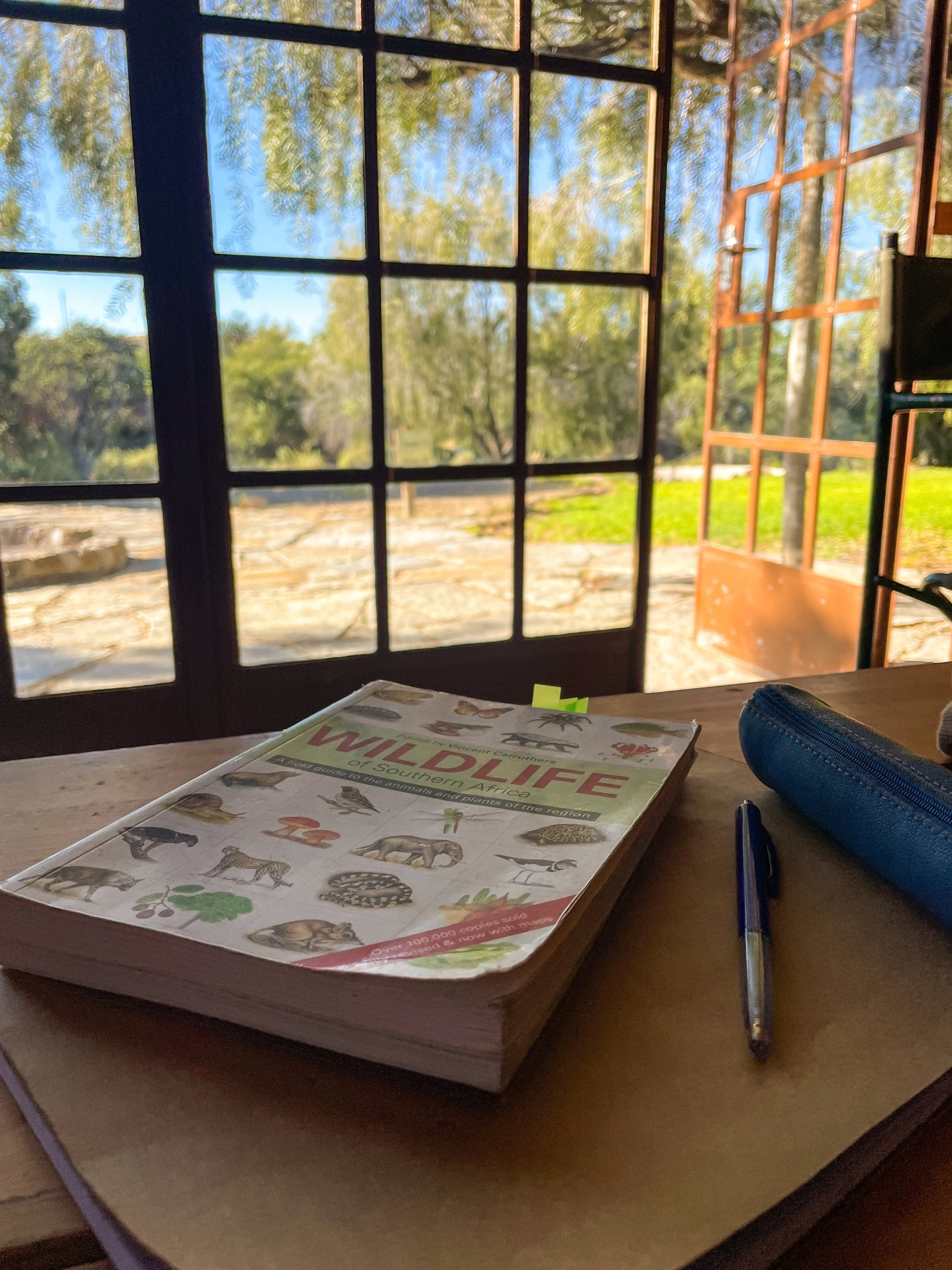 A wooden desk with a wildlife book, a pen, and a blue pencil case in front of a window with a view of green trees and a sunny outdoor area.