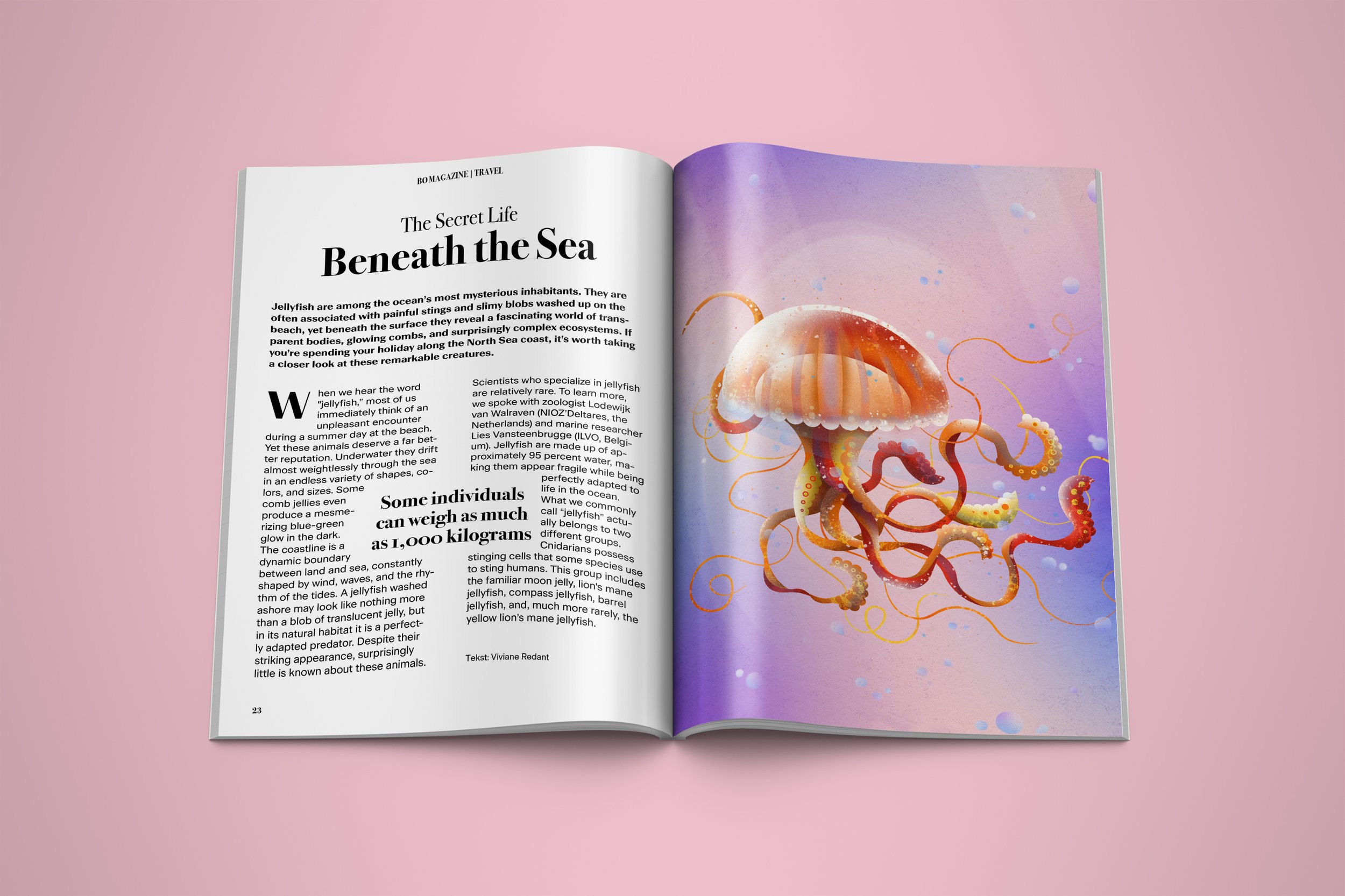 Kwal_artikel_Mockup.jpg