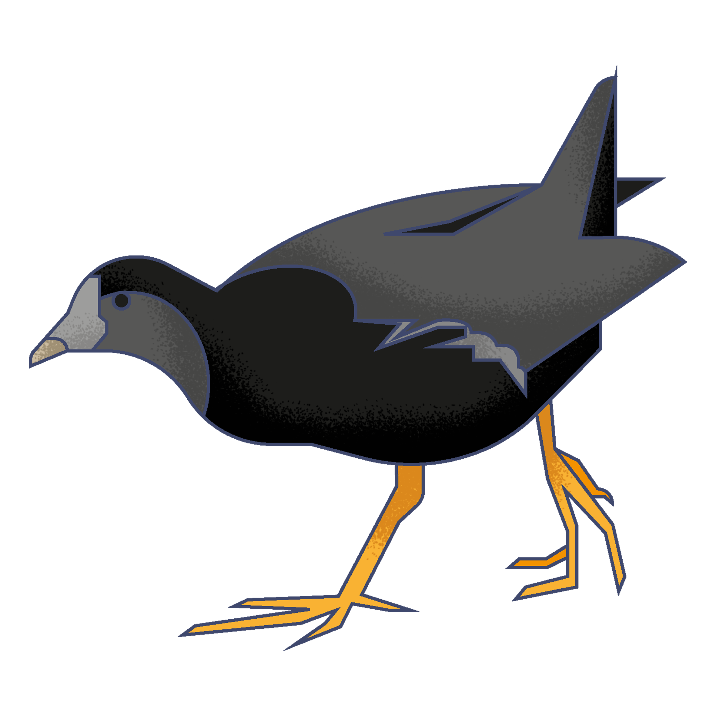 Illustration of a bird with the body of a duck, standing on a rocky surface.