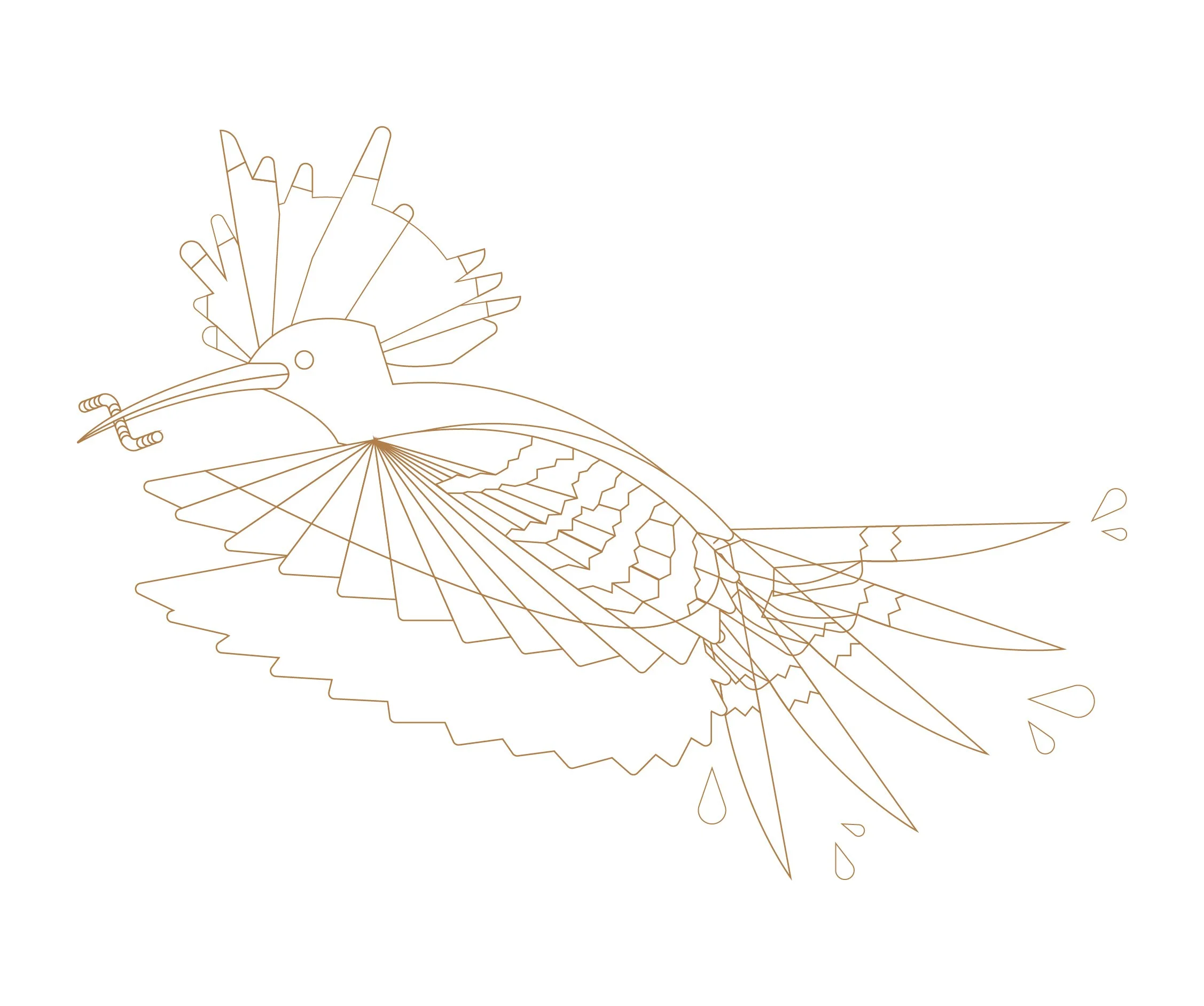Line drawing of a hummingbird with detailed wings, long beak, and tail feathers, flying with water droplets around it.