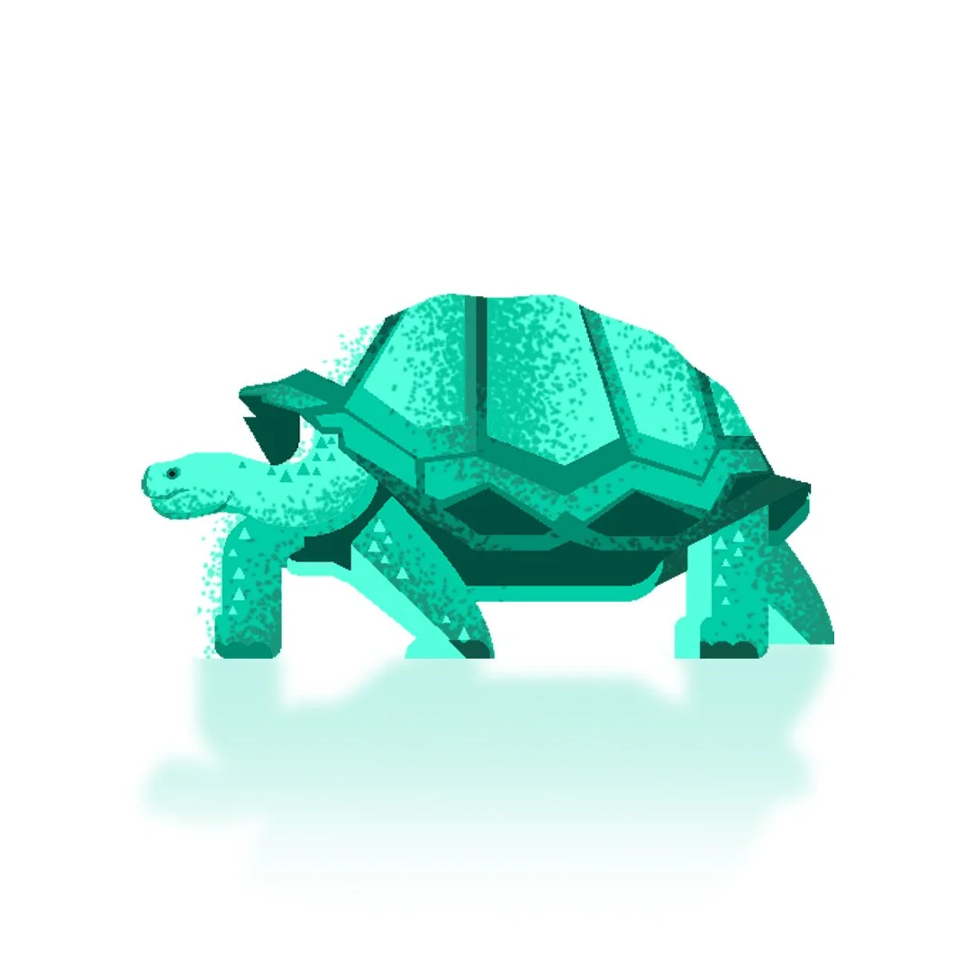 Digital illustration of a turtle standing on white background, with a blue-green shell and limbs.