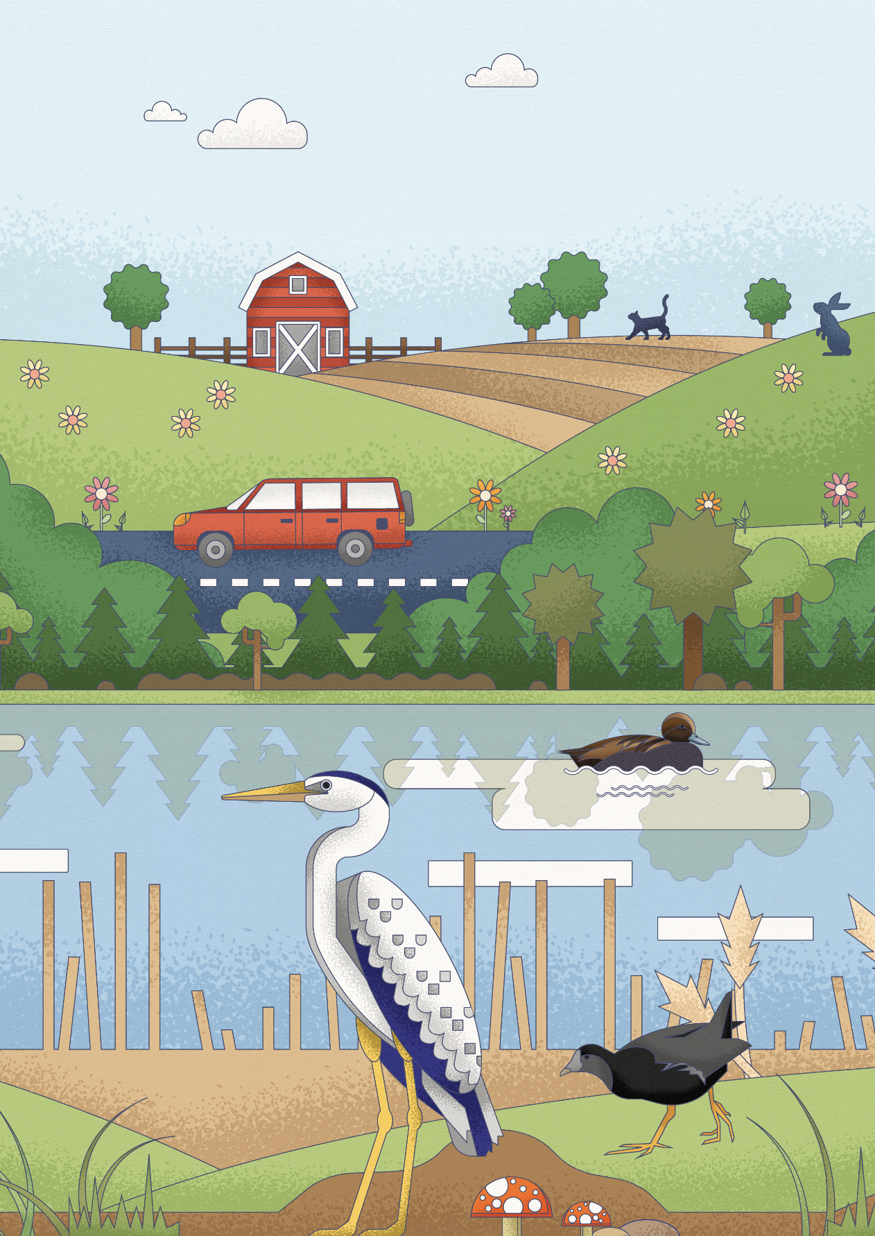 Illustration of a farm scene with a red barn, trees, a red truck, a chicken, a flying duck, a heron, and mushrooms near a pond or marshland with a duck swimming.