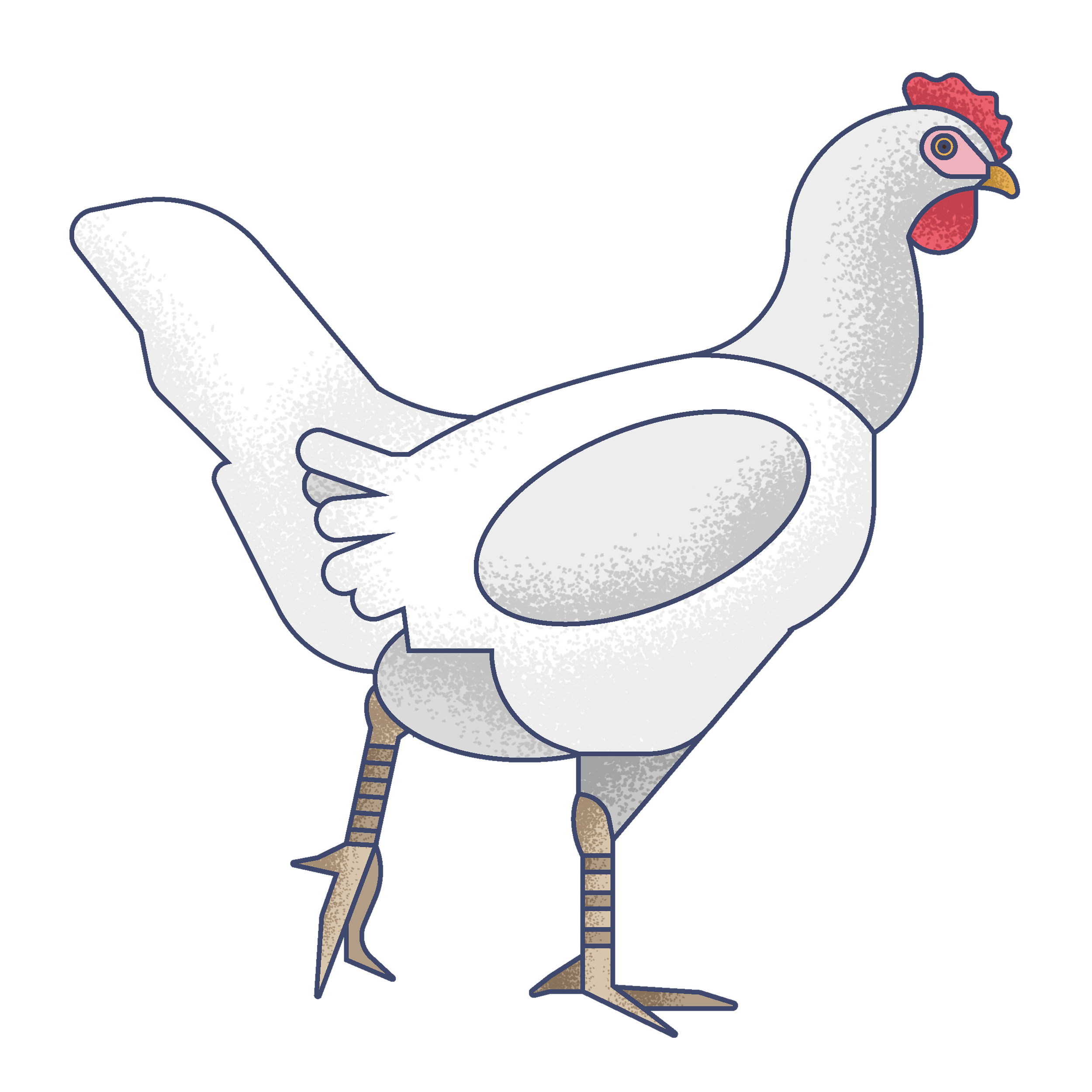 Illustration of a chicken with a white body, red comb, and yellow beak standing on two legs.
