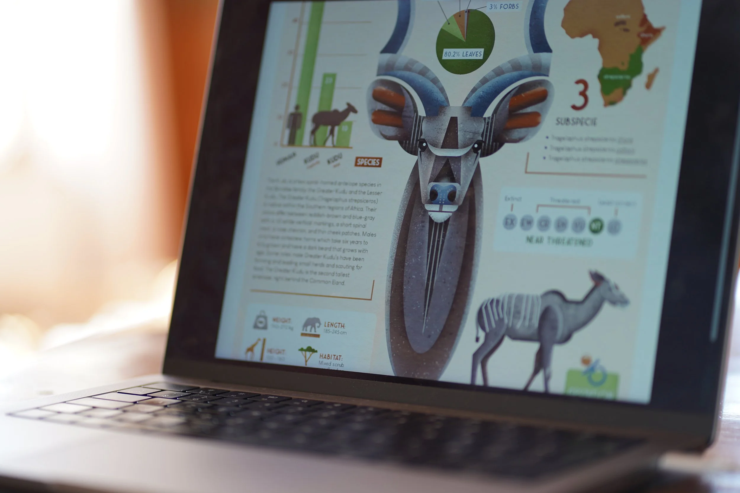 A laptop screen displaying an infographic about an animal resembling a kudu or similar antelope, featuring a stylized illustration of the animal's head with prominent horns, a map of Africa, various charts, and information about its species, habitat,