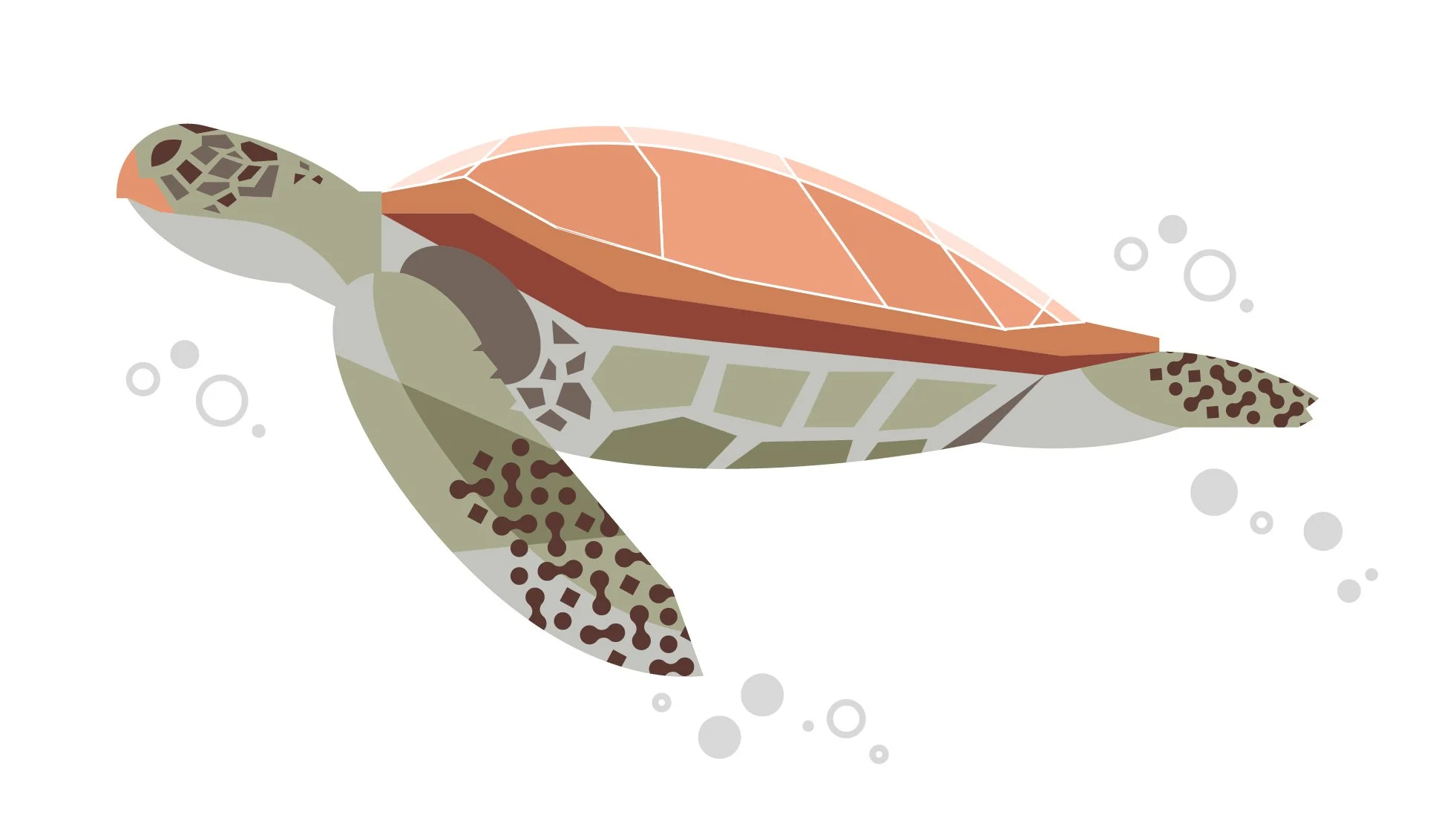 Digital illustration of a sea turtle swimming underwater, surrounded by bubbles.