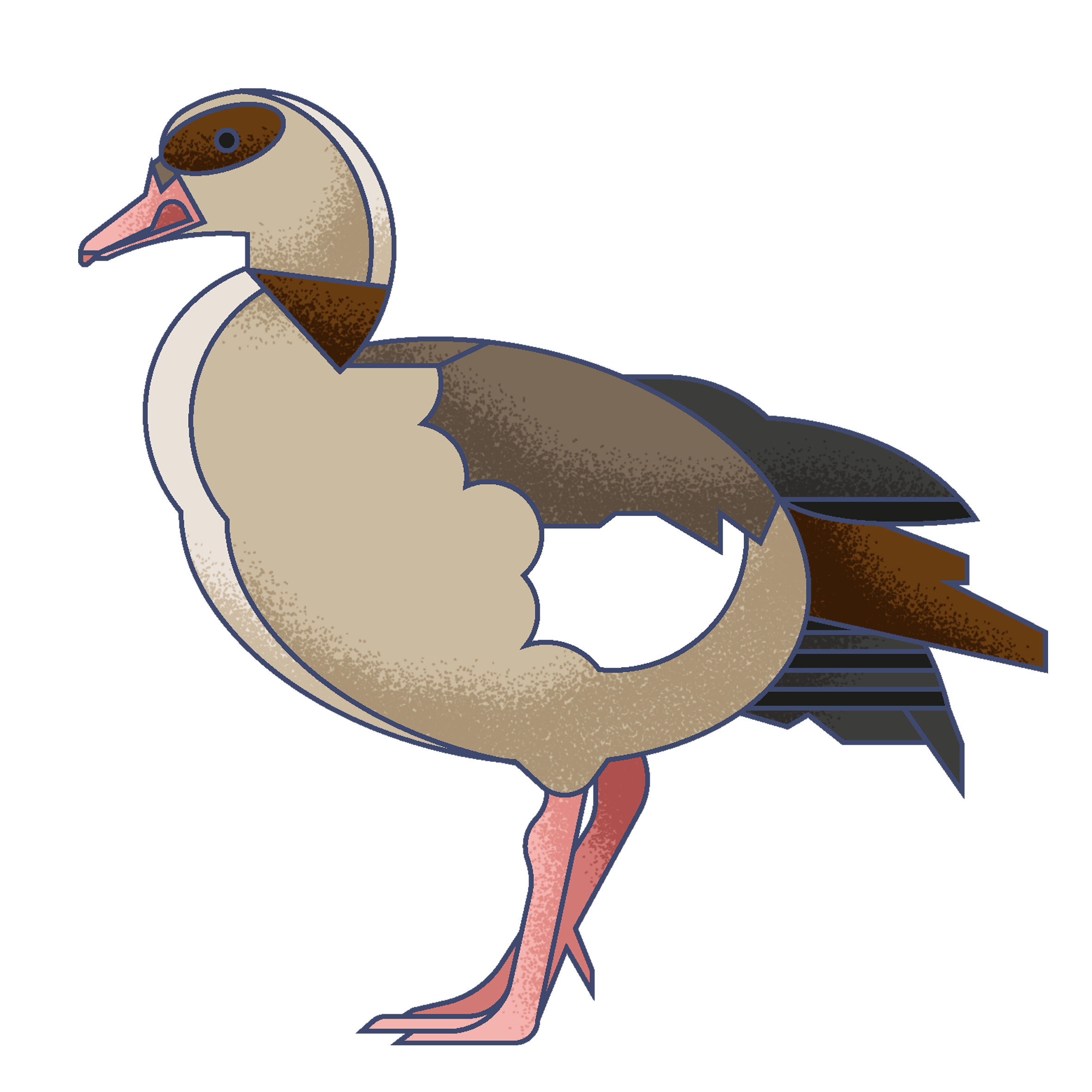 Digital illustration of a goose with brown, white, and black feathers standing on pink legs, set against a dark blue background.