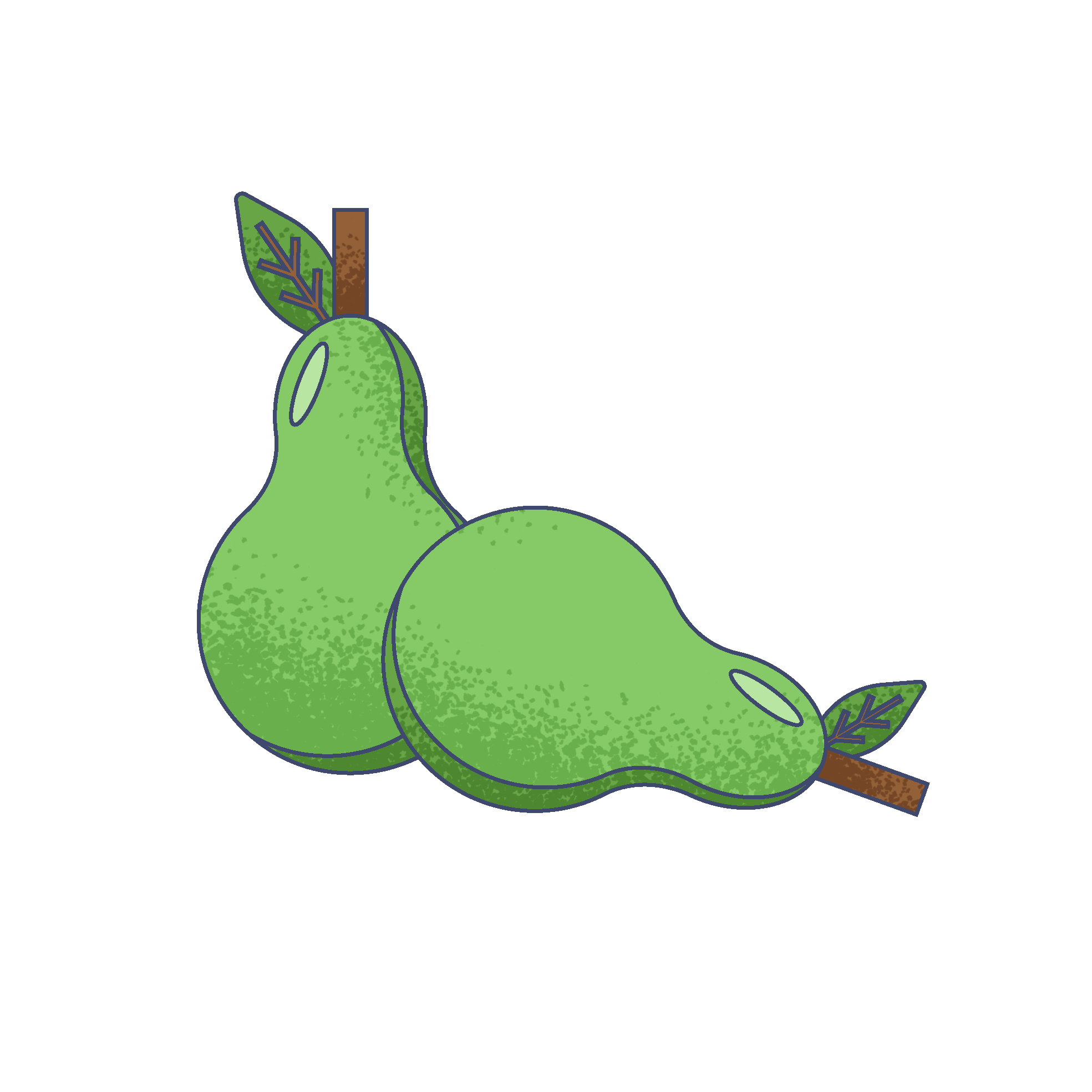 Illustration of two green pears with brown stems and green leaves.