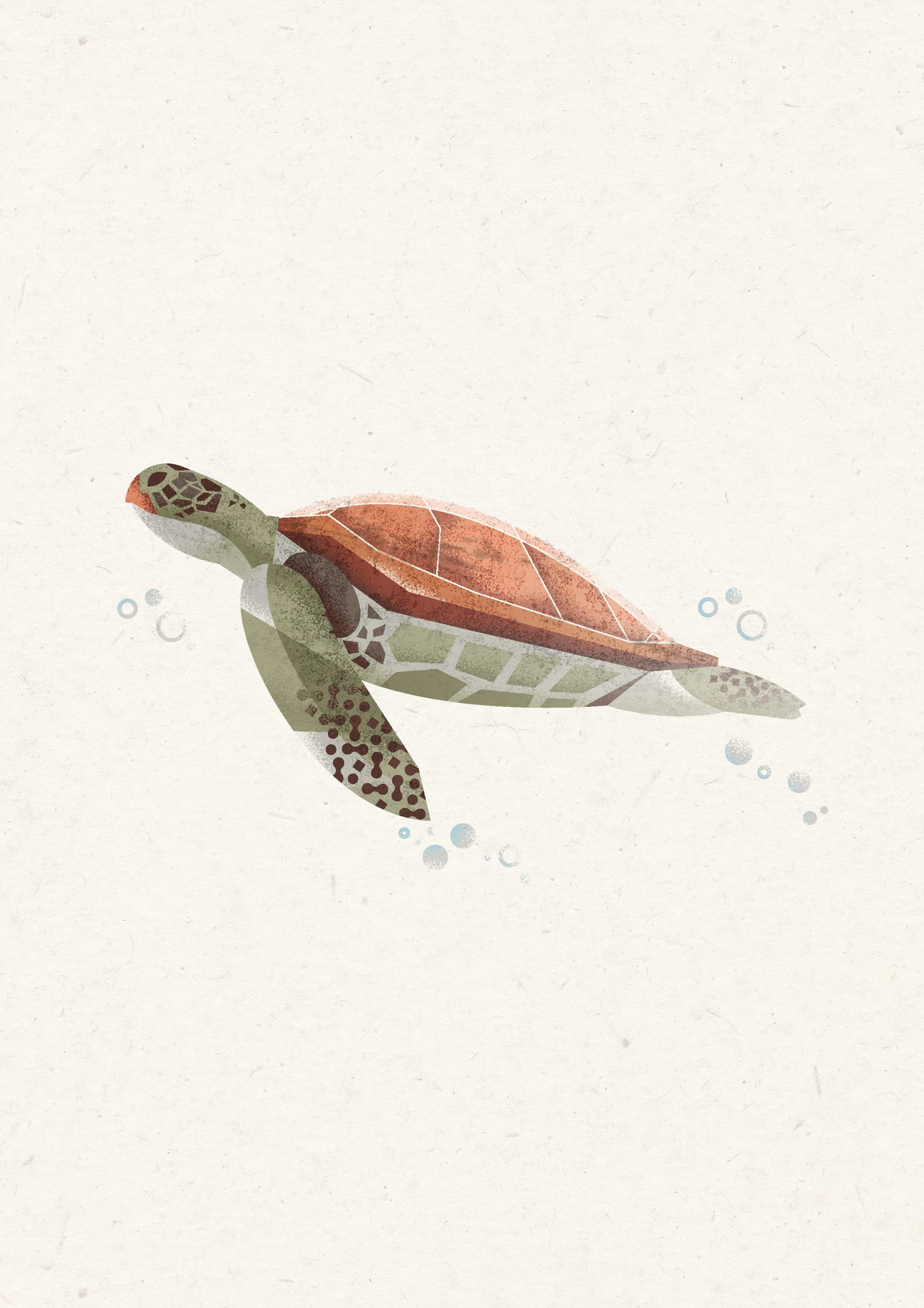 An illustrated sea turtle swimming in the water with bubbles around it.