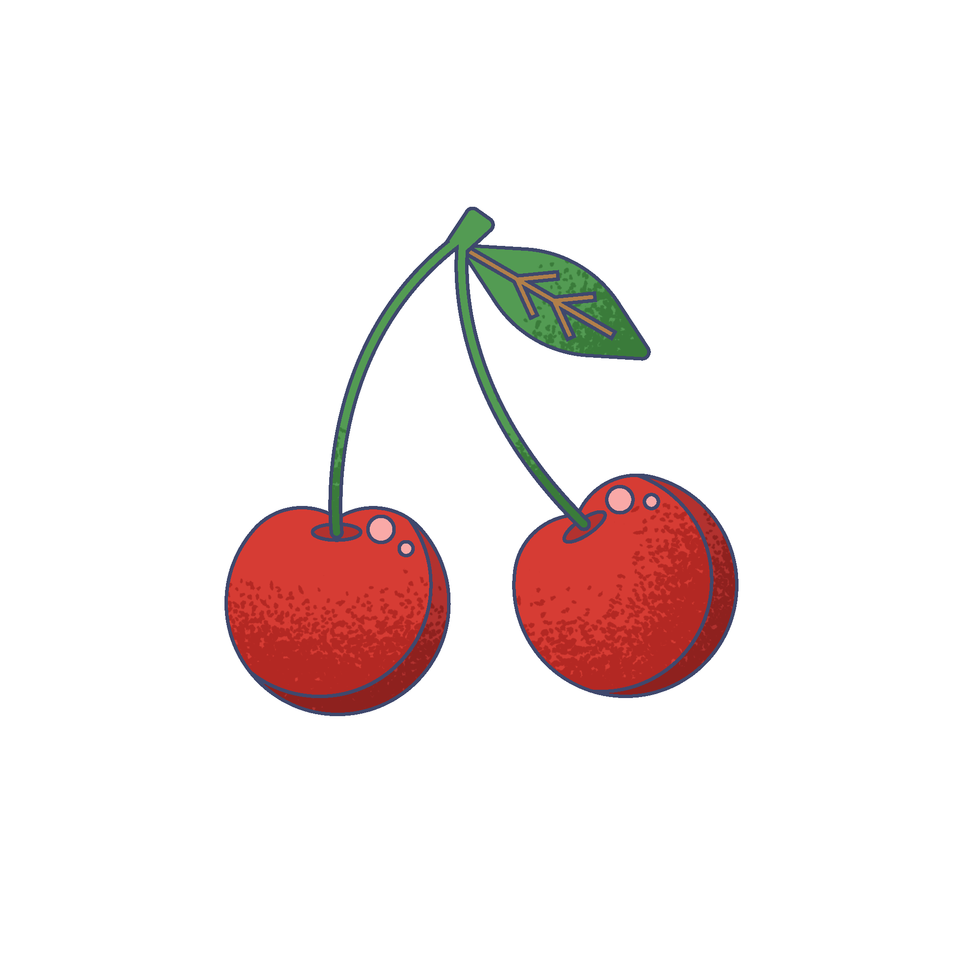 Illustration of two cherries with green leaves and water droplets on the surface.