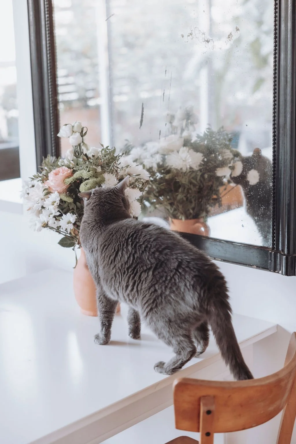 Un chat gris renifle un bouquet de fleurs blanches et roses sur une table devant un miroir.
