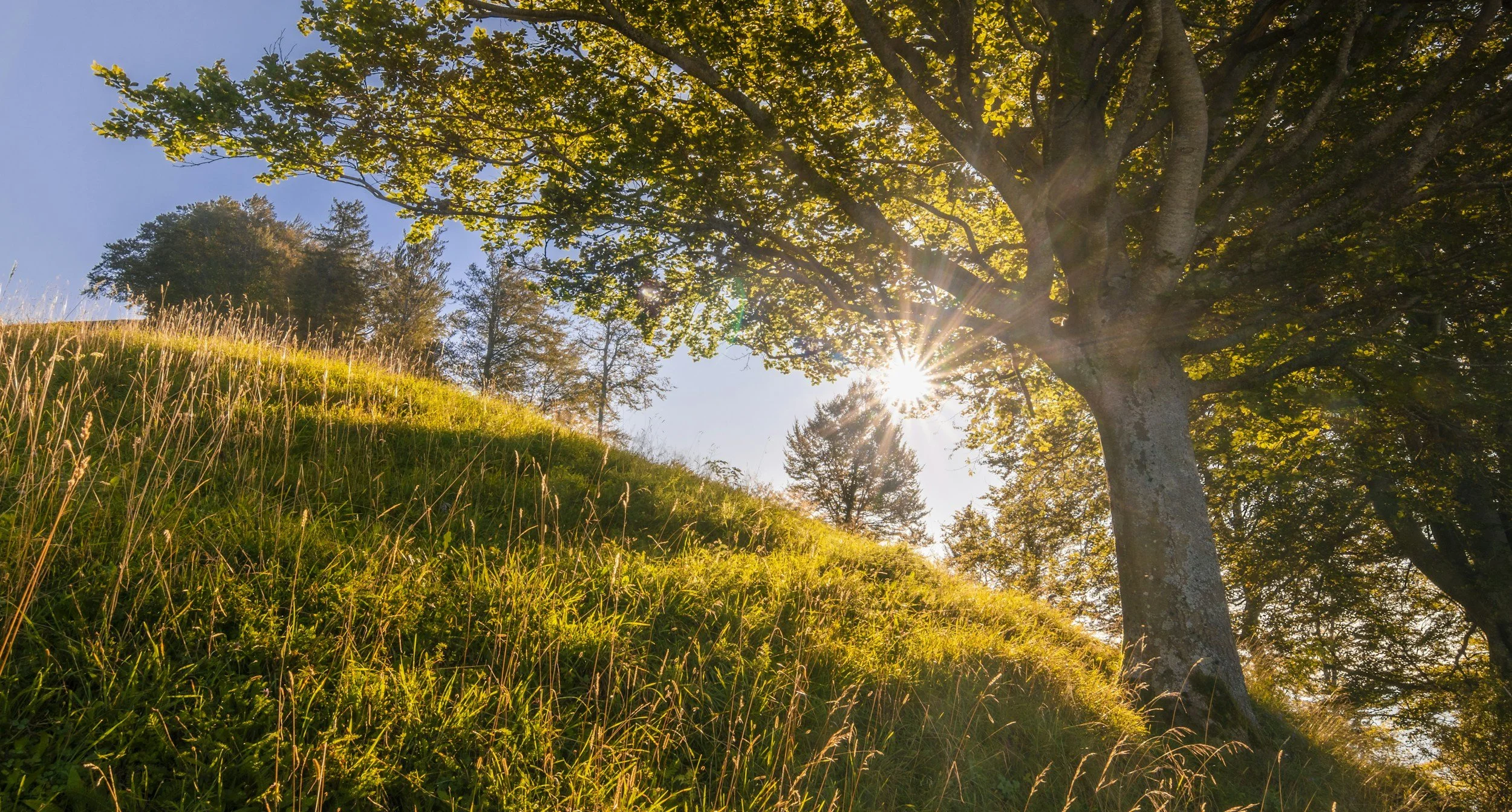 Summer Skin Survival Guide: 7 Habits That Keep Your Skin Healthy All Season Long