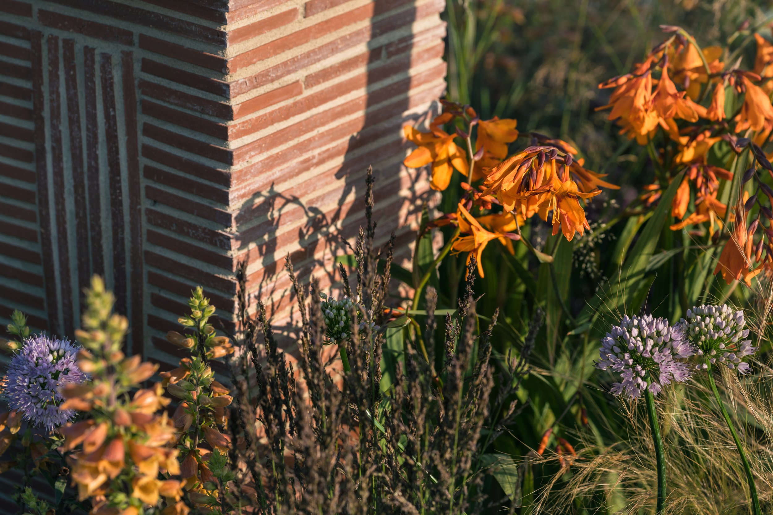arts and crafts garden-22.jpg