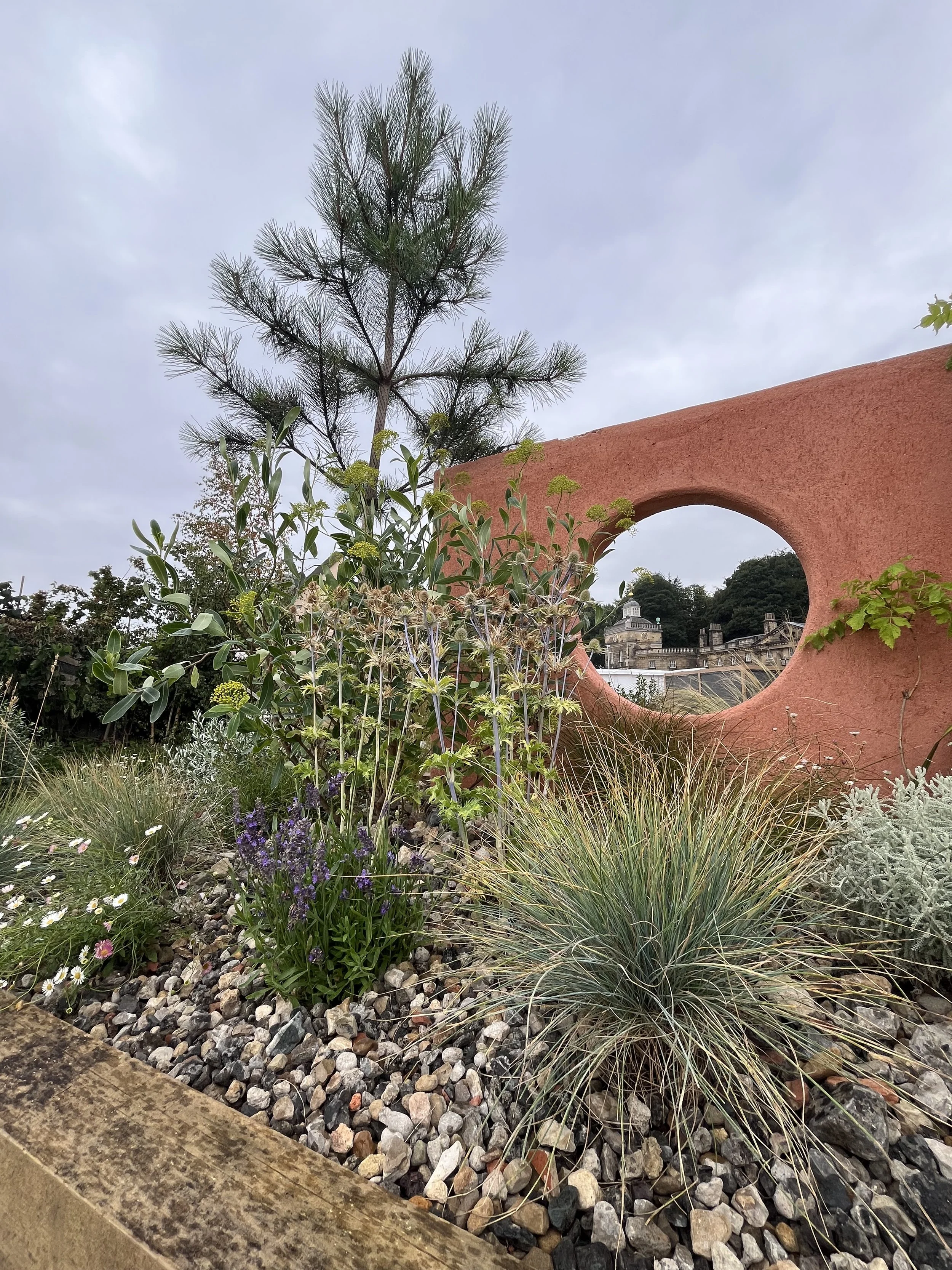 Royal Horticultural Society Wentworth Woodhouse Flower Show 2025 Gold award winning garden design