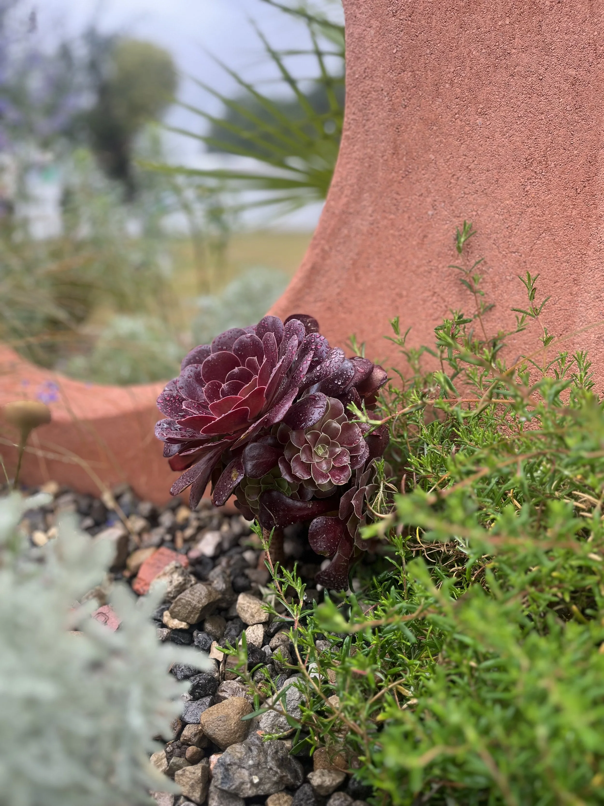 Royal Horticultural Society Wentworth Woodhouse Flower Show 2025 Gold award winning garden design