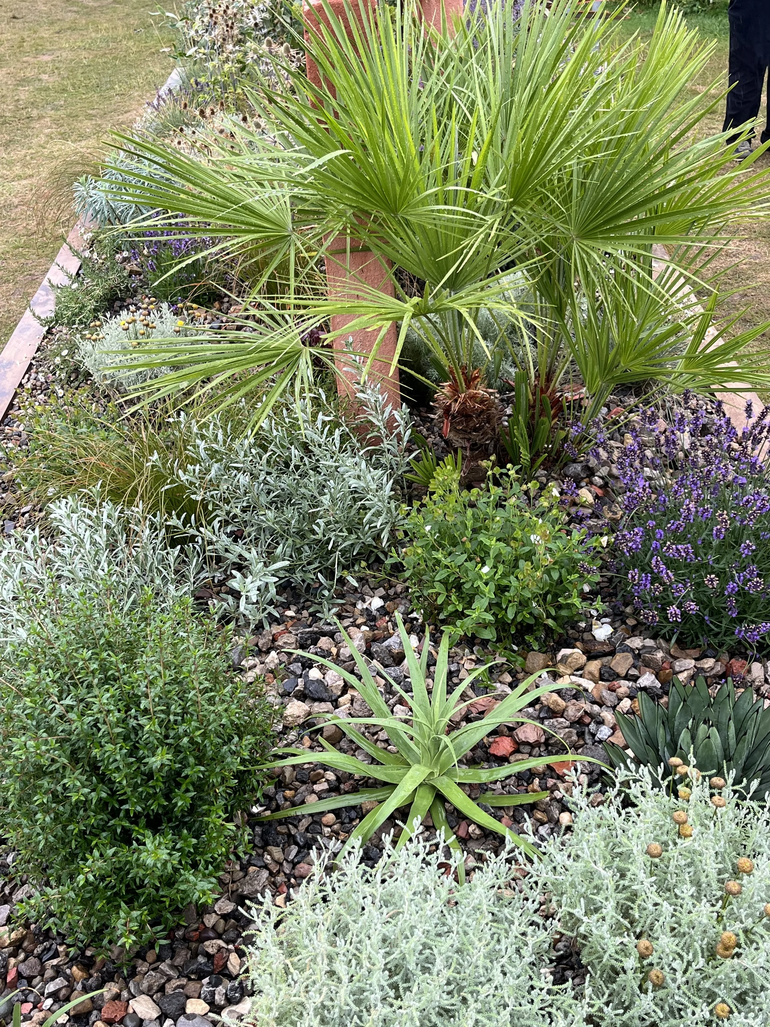 Royal Horticultural Society Wentworth Woodhouse Flower Show 2025 Gold award winning garden design