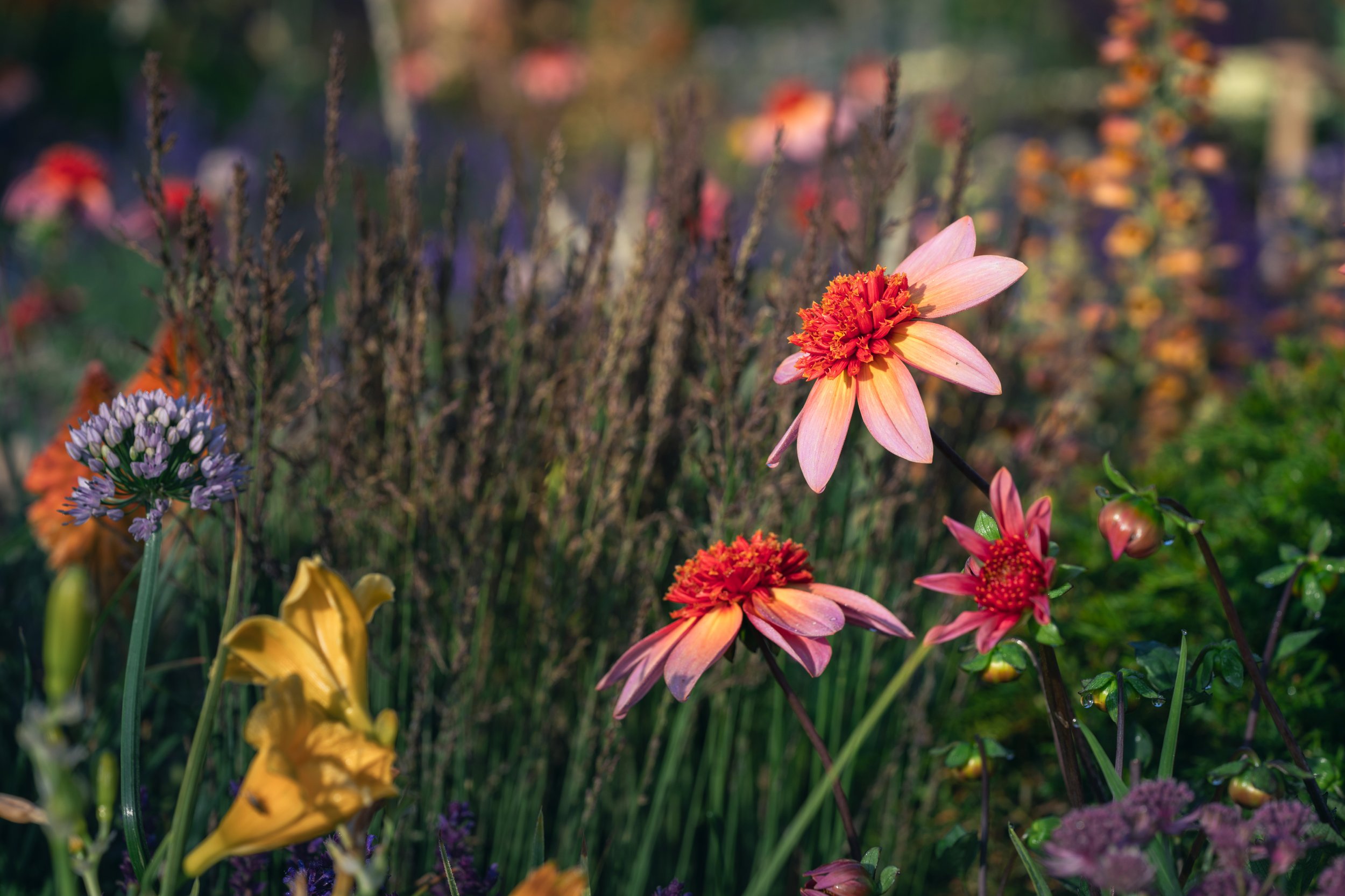 arts and crafts garden-7.jpg