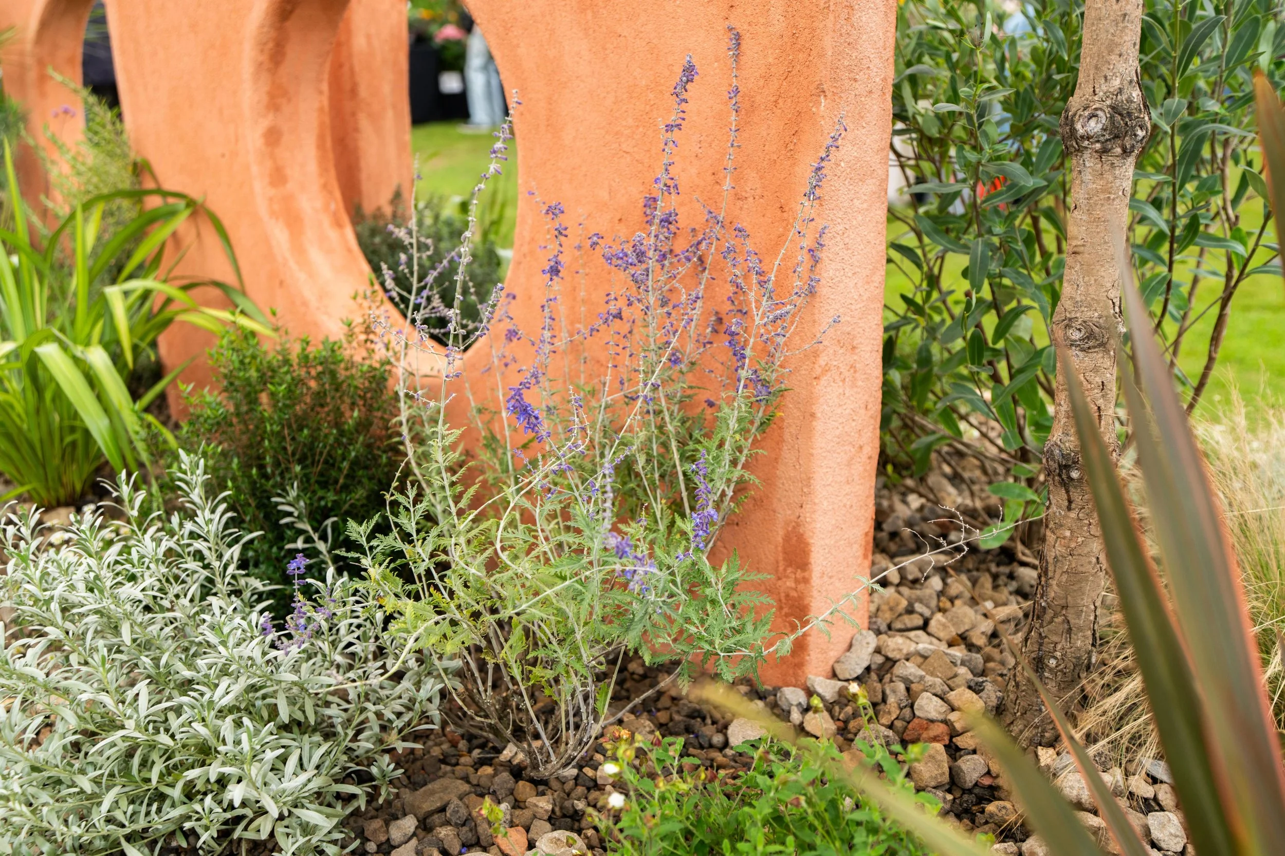 Award winning garden design studio Grant Horticulture win the Challenge Cup and a special award at the Harrogate Flower Show, Newby Hall