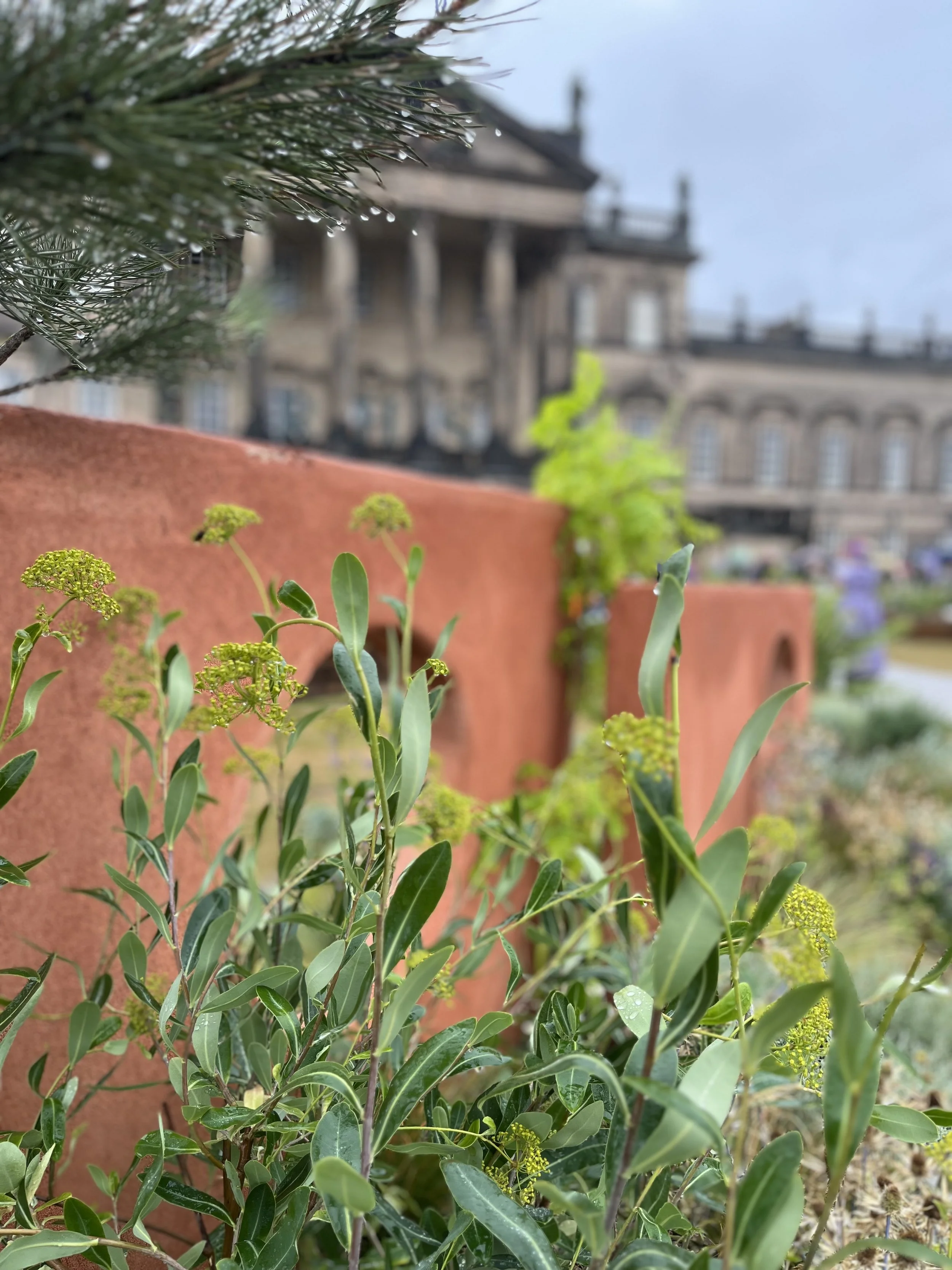Royal Horticultural Society Wentworth Woodhouse Flower Show 2025 Gold award winning garden design