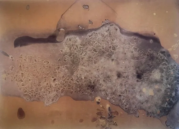 Lumen Prints