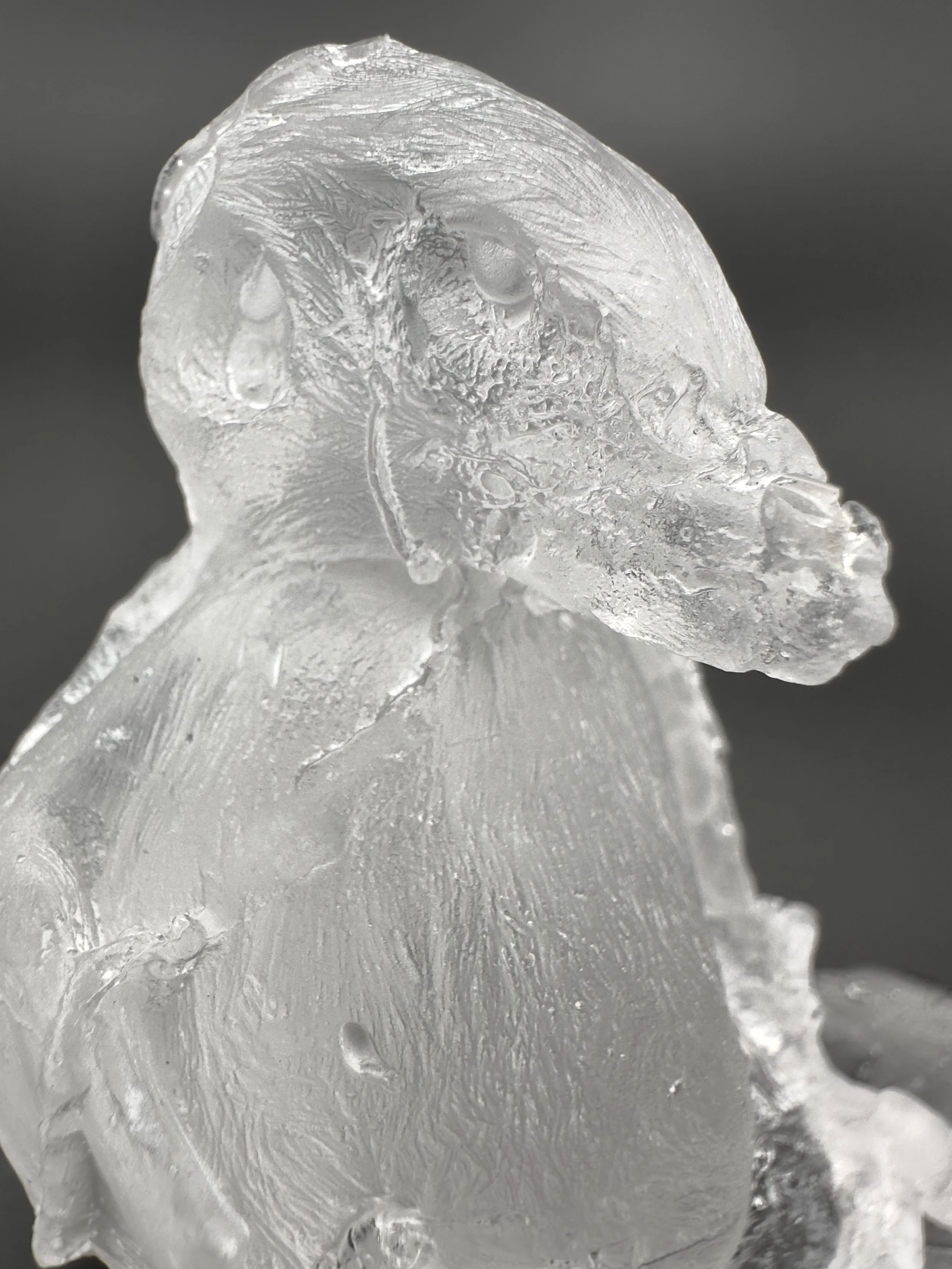 Glass Birds 2025-present